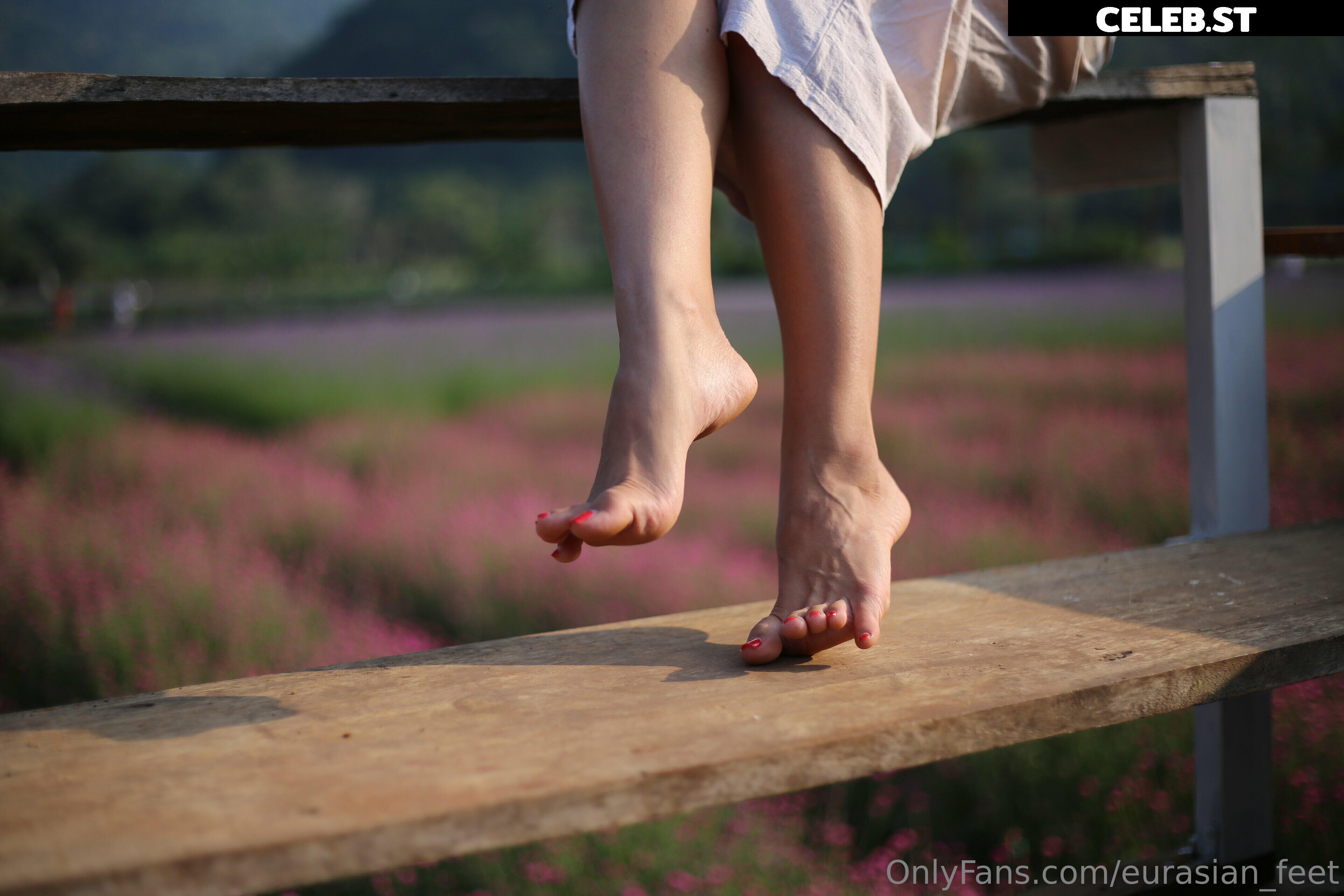 eurasian_feet Image 18064043