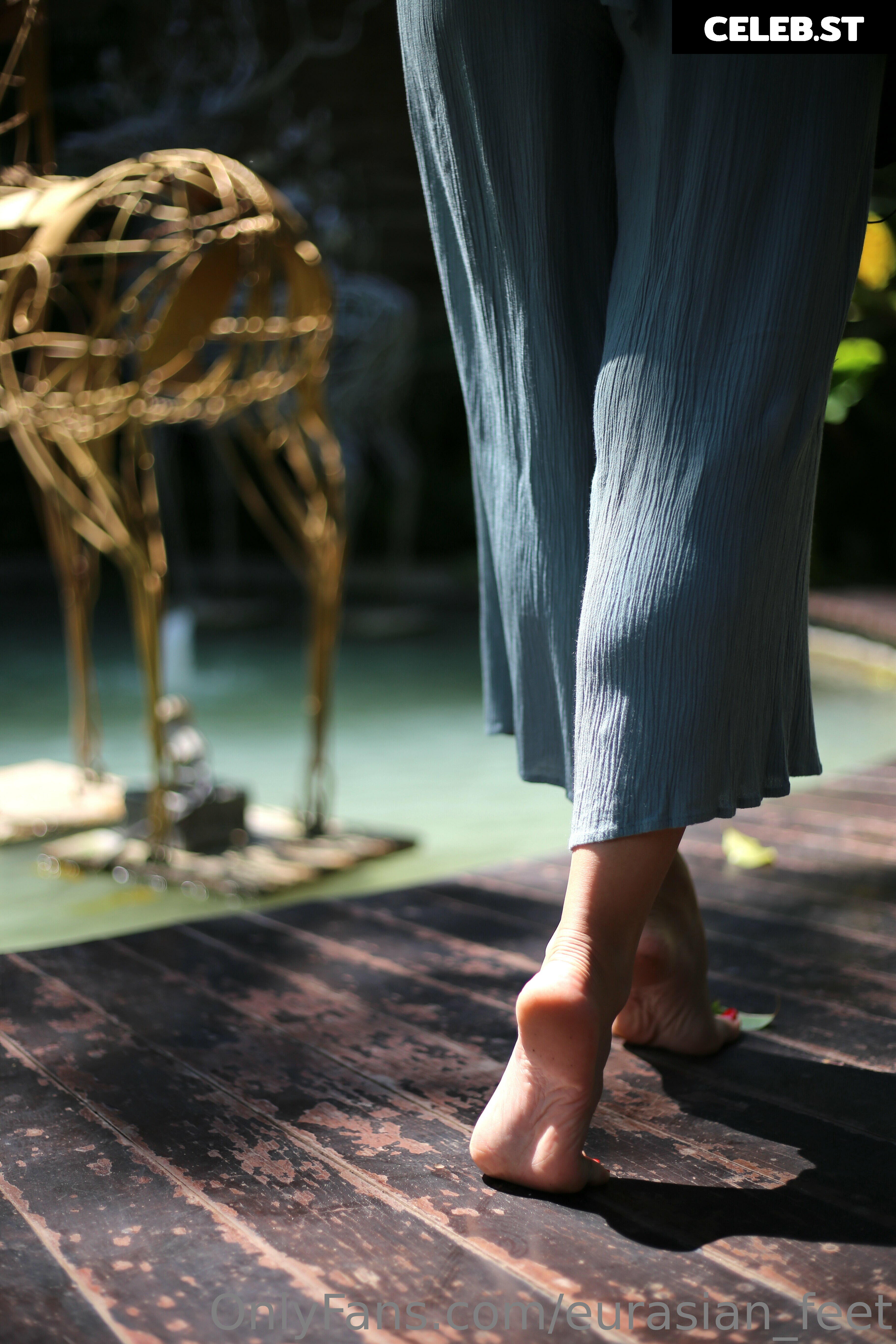 eurasian_feet Image 18064044