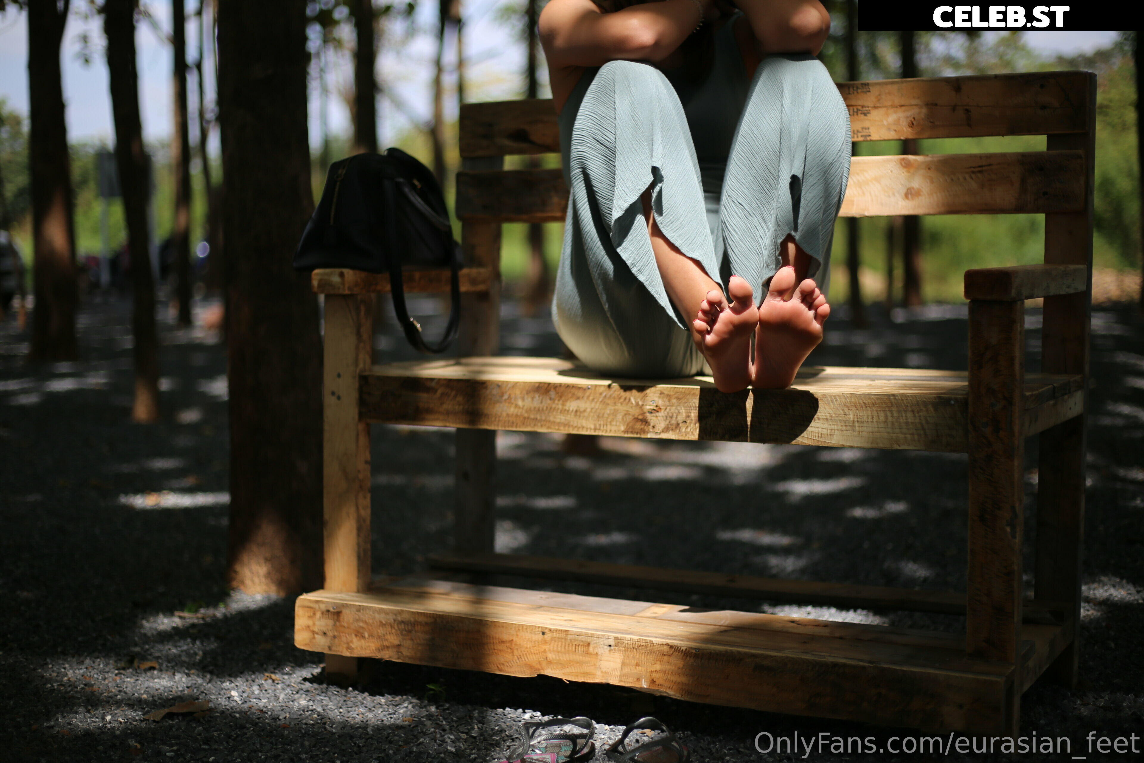 eurasian_feet Image 18064071