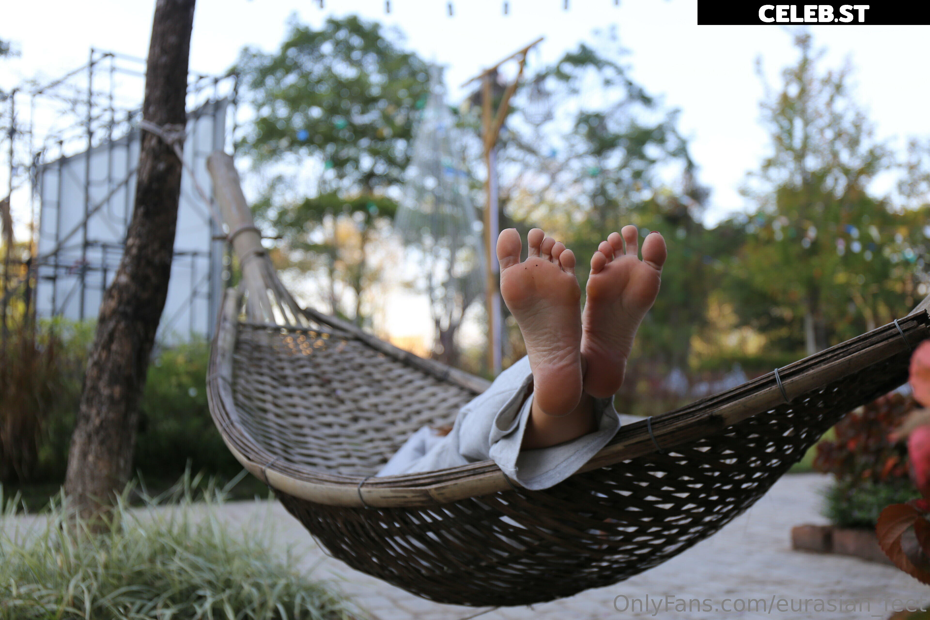 eurasian_feet Image 18064388