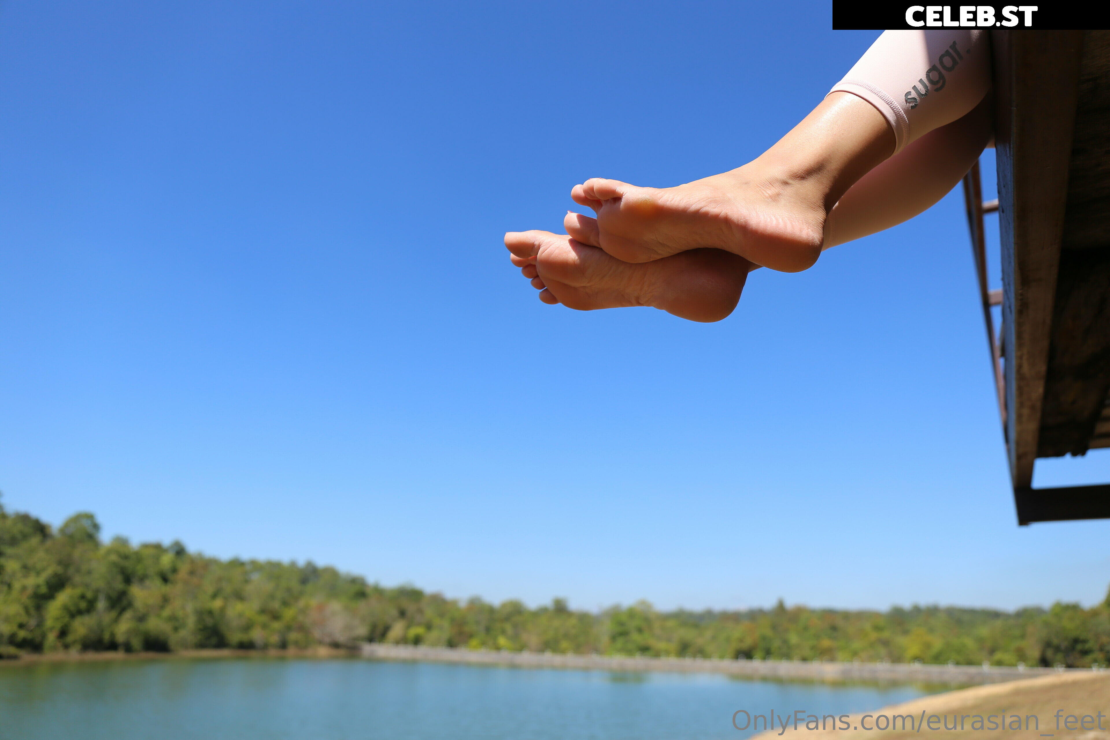 eurasian_feet Image 18064371