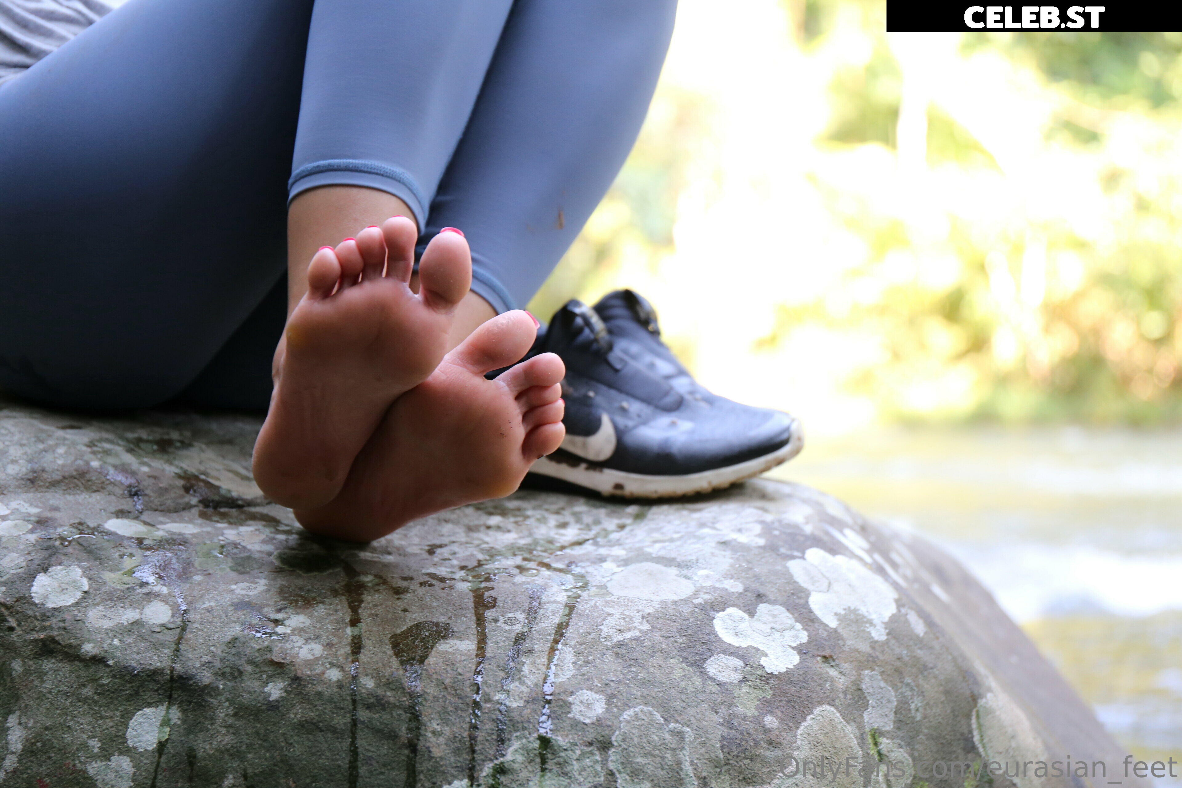 eurasian_feet Image 18064212