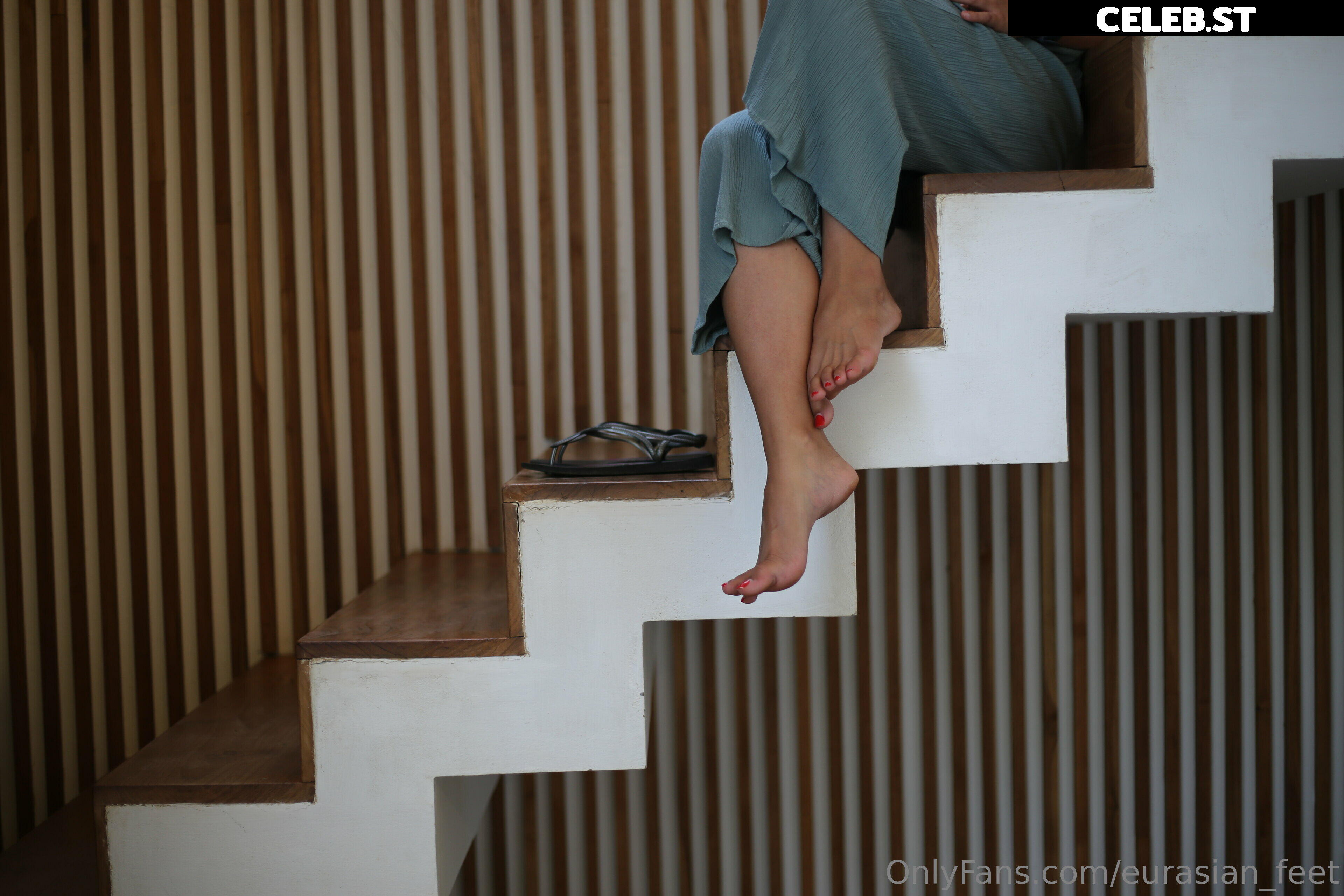 eurasian_feet Image 18064231