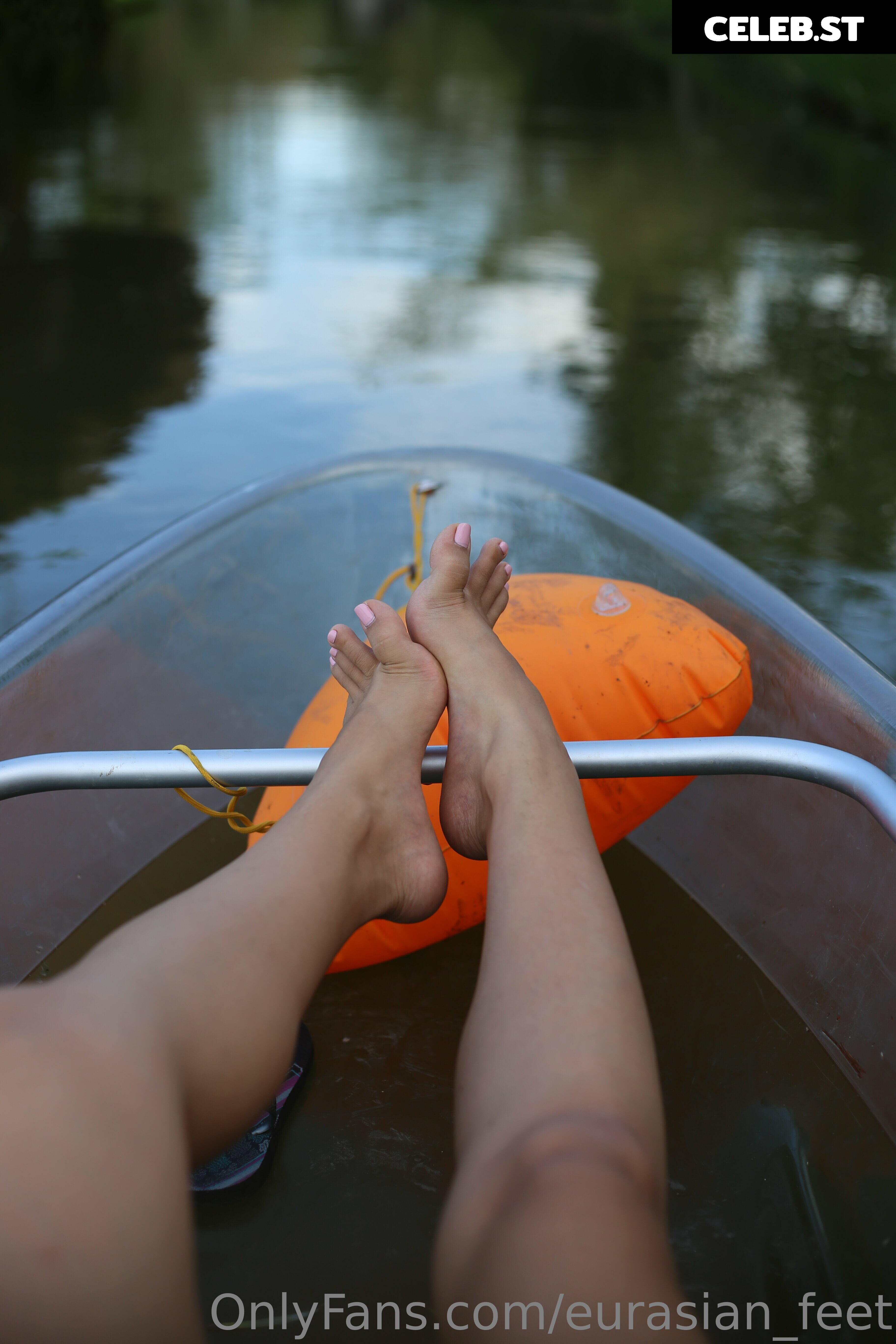 eurasian_feet Image 18067920