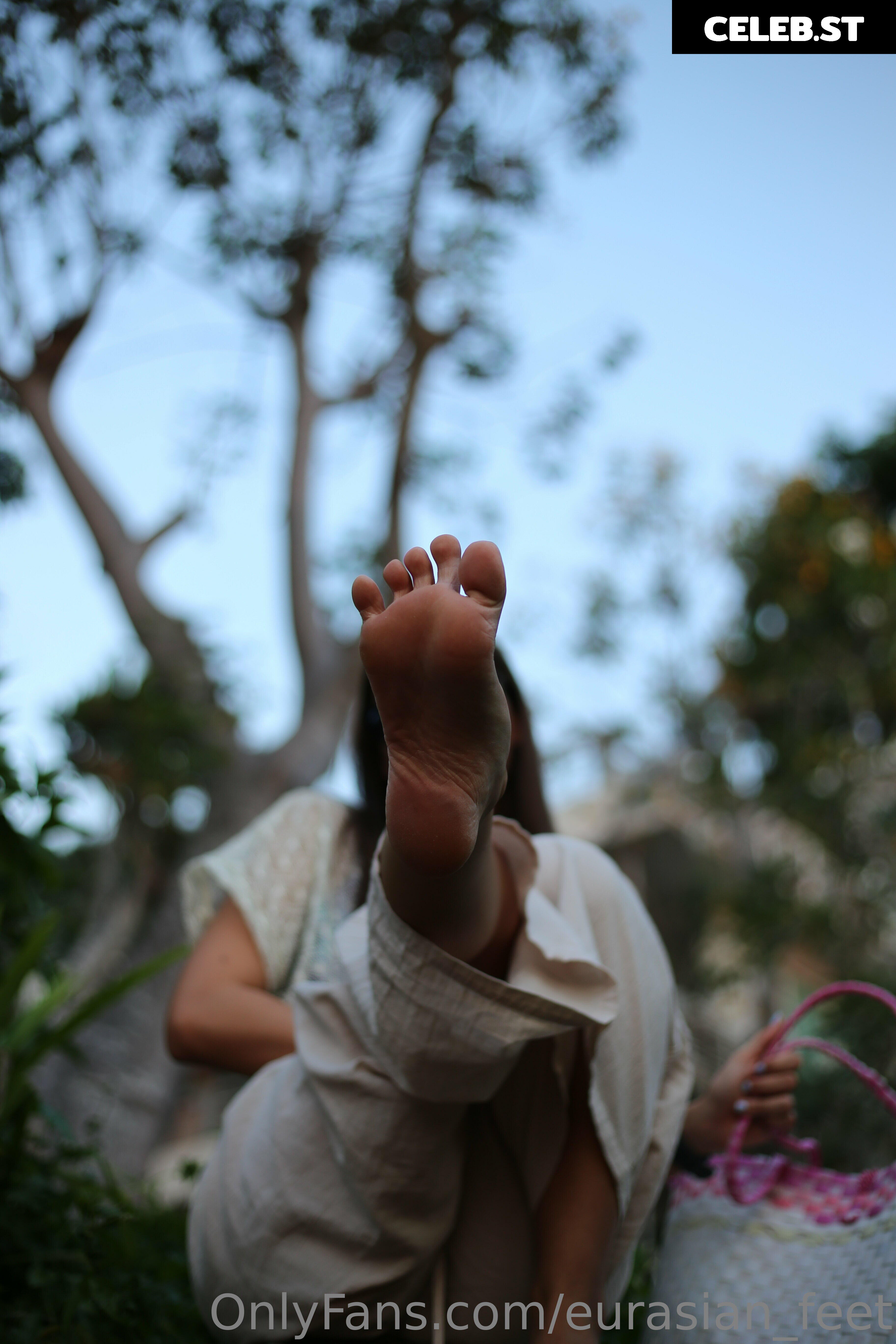 eurasian_feet Image 18067935