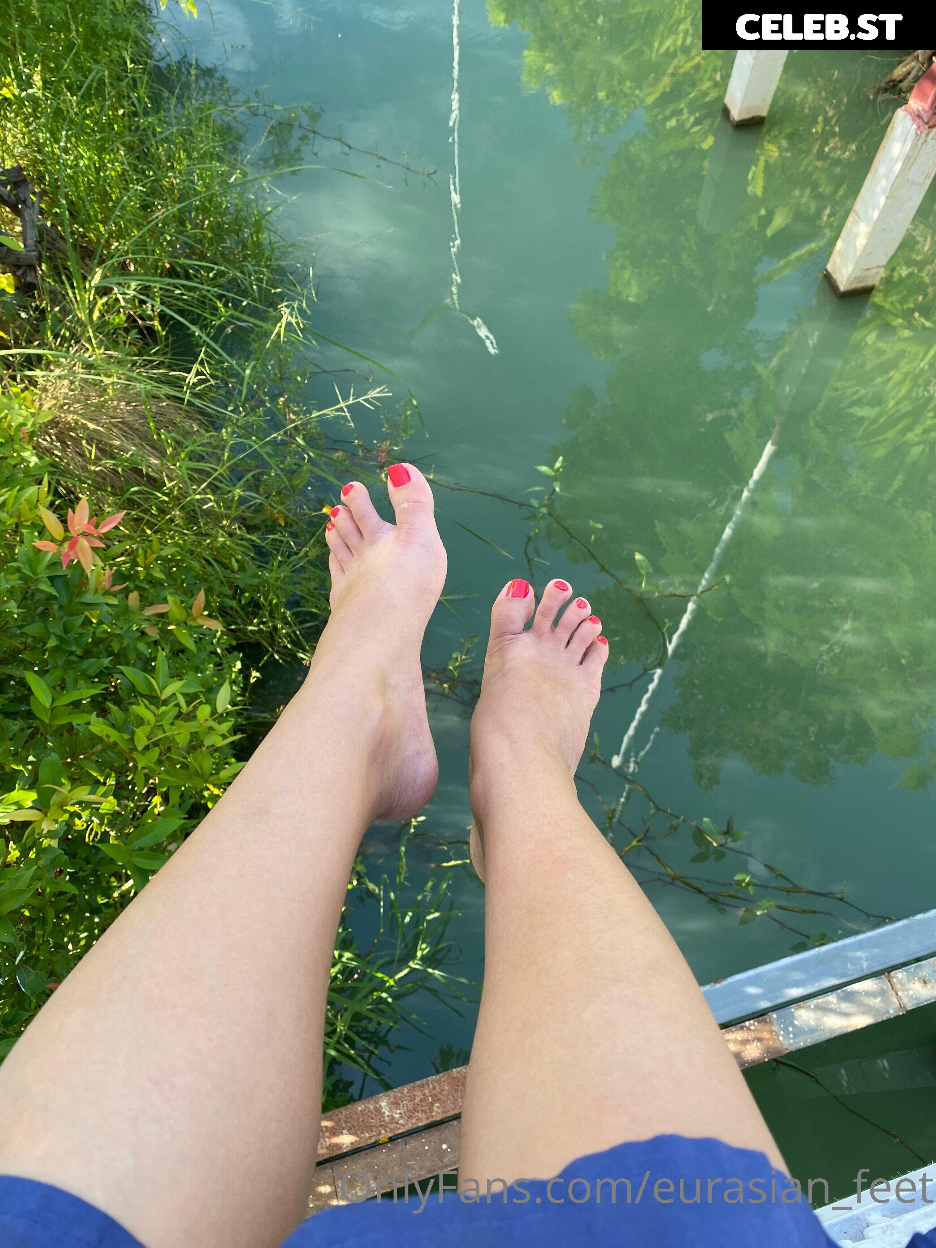 eurasian_feet Image 18067950