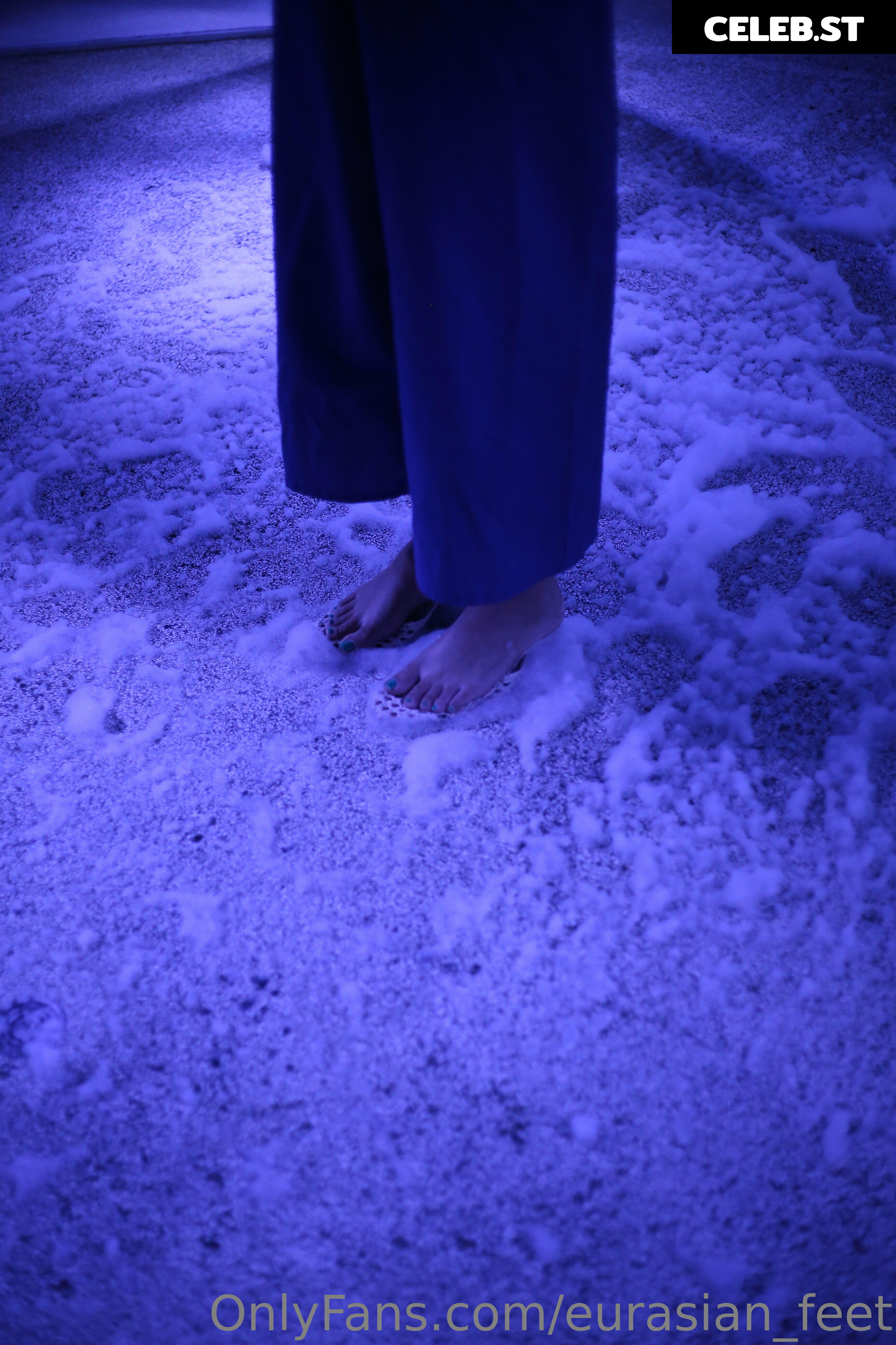 eurasian_feet Image 18067130