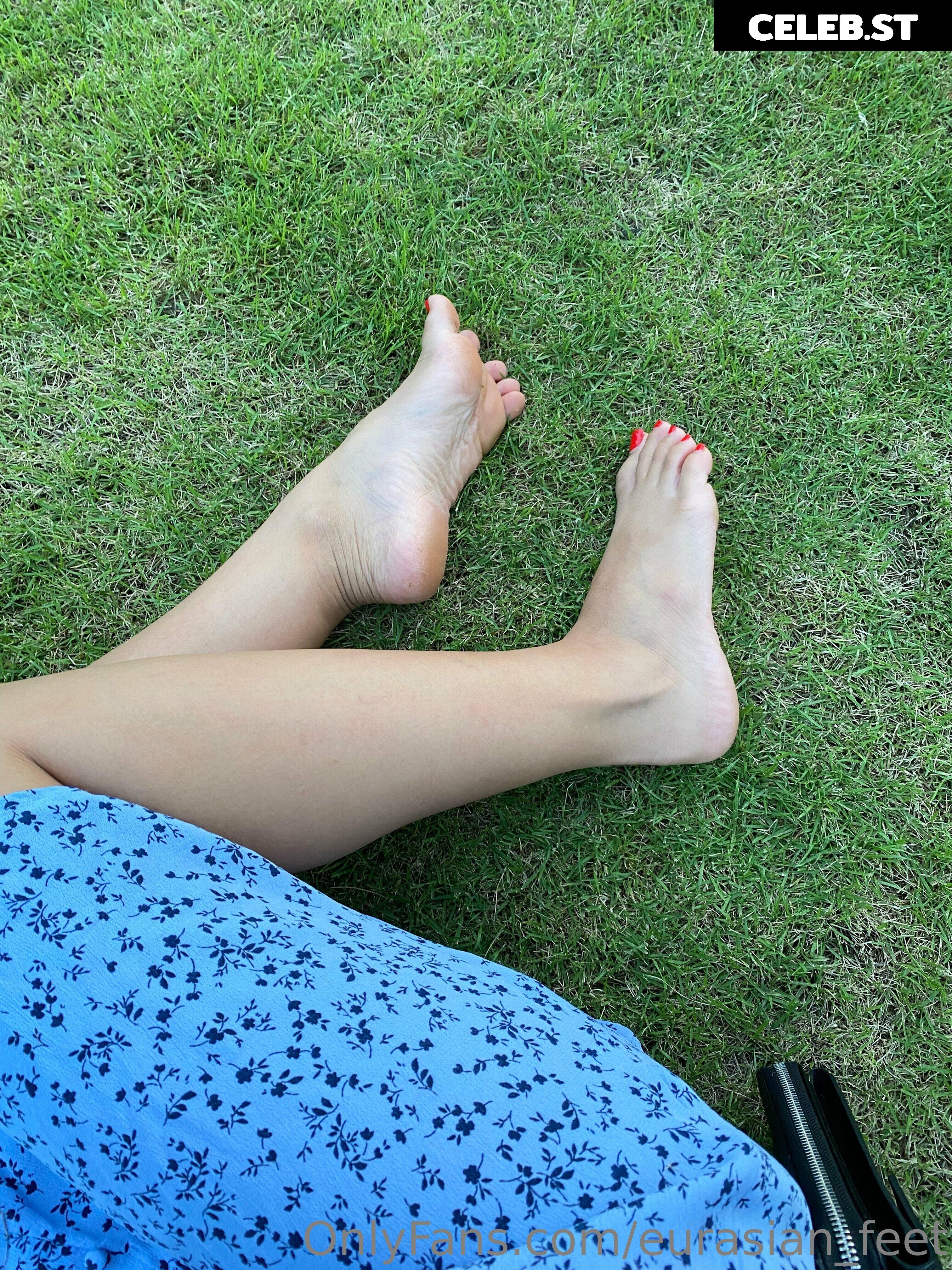 eurasian_feet Image 18067099