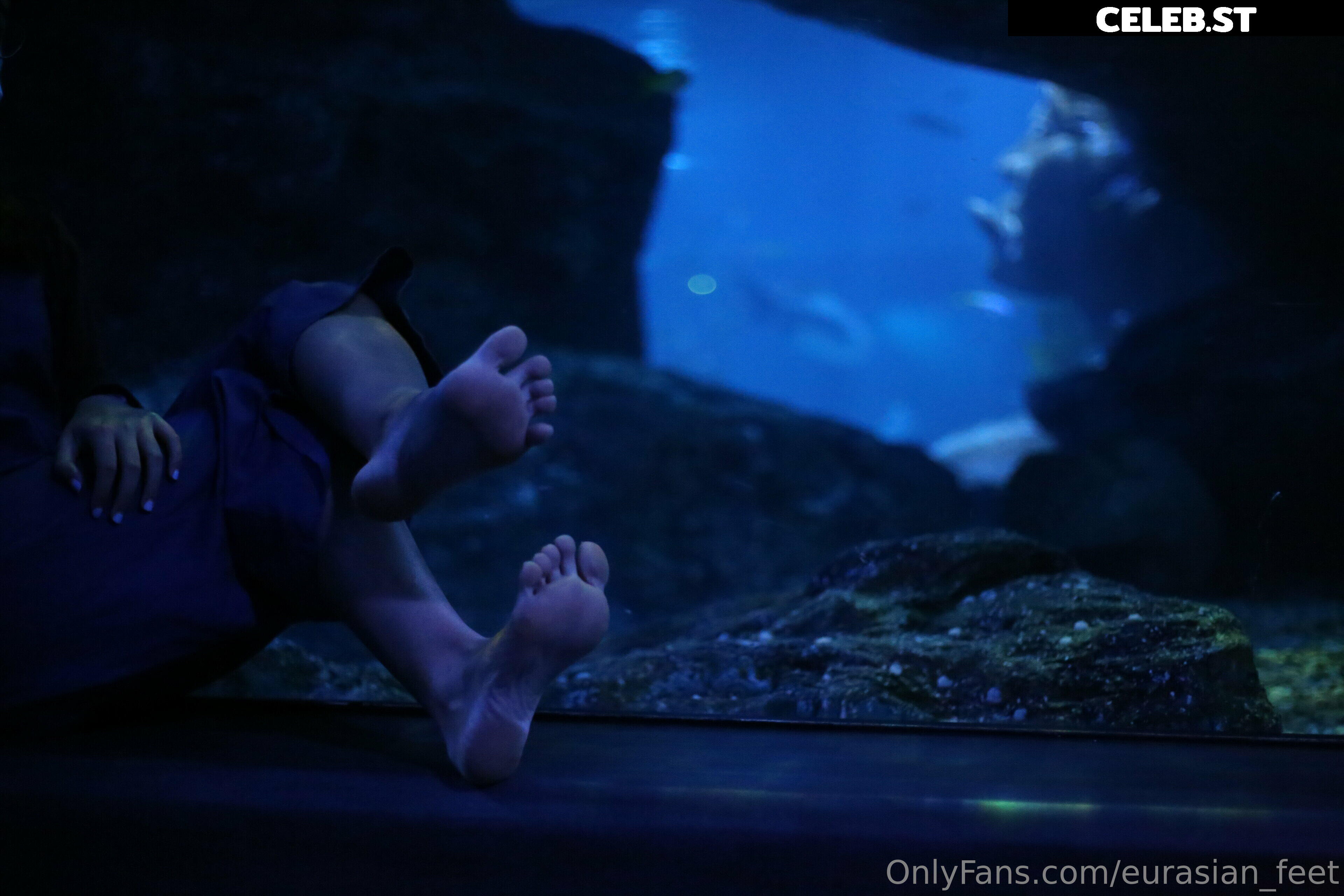 eurasian_feet Image 18067089