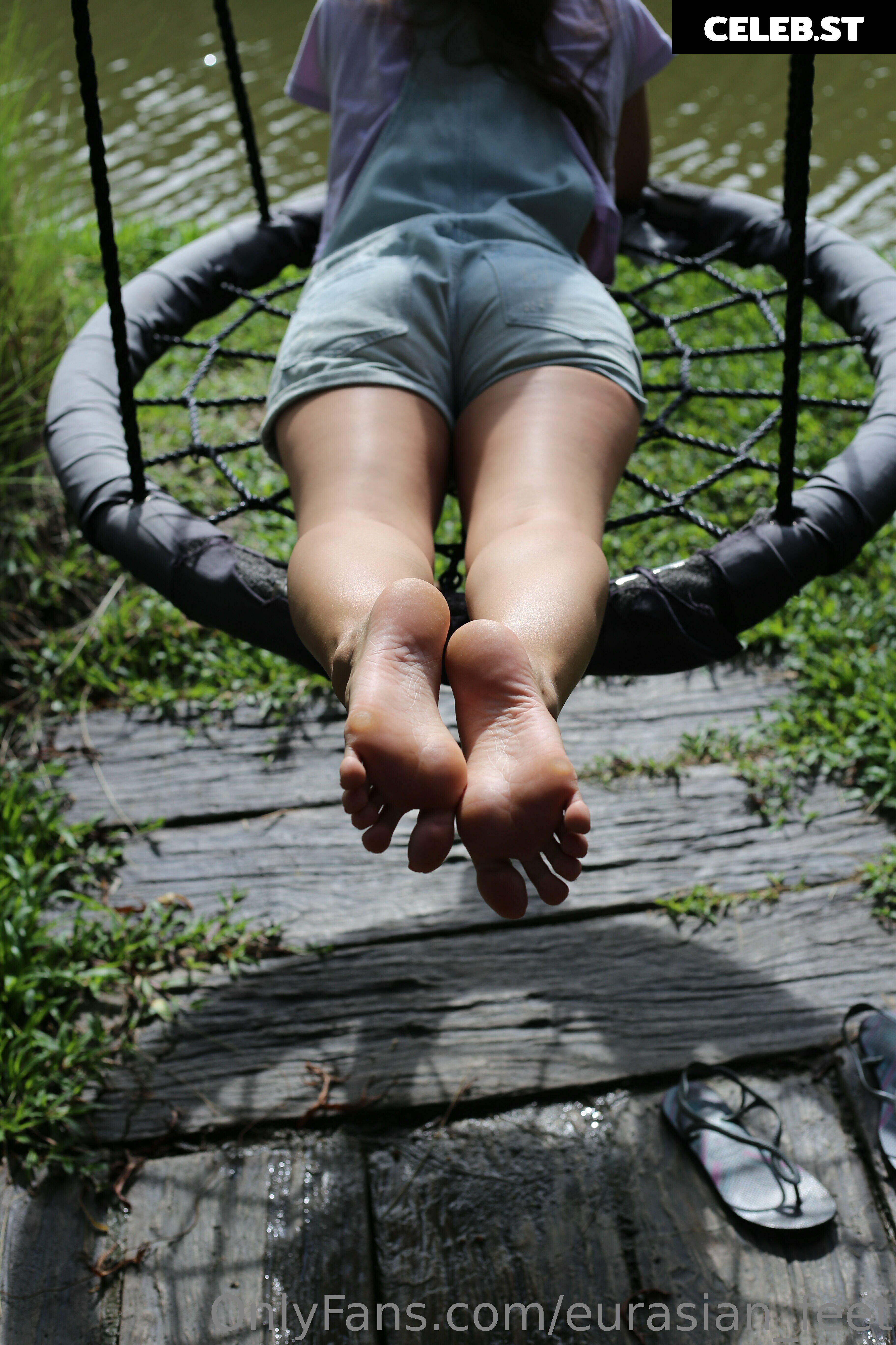 eurasian_feet Image 18066512