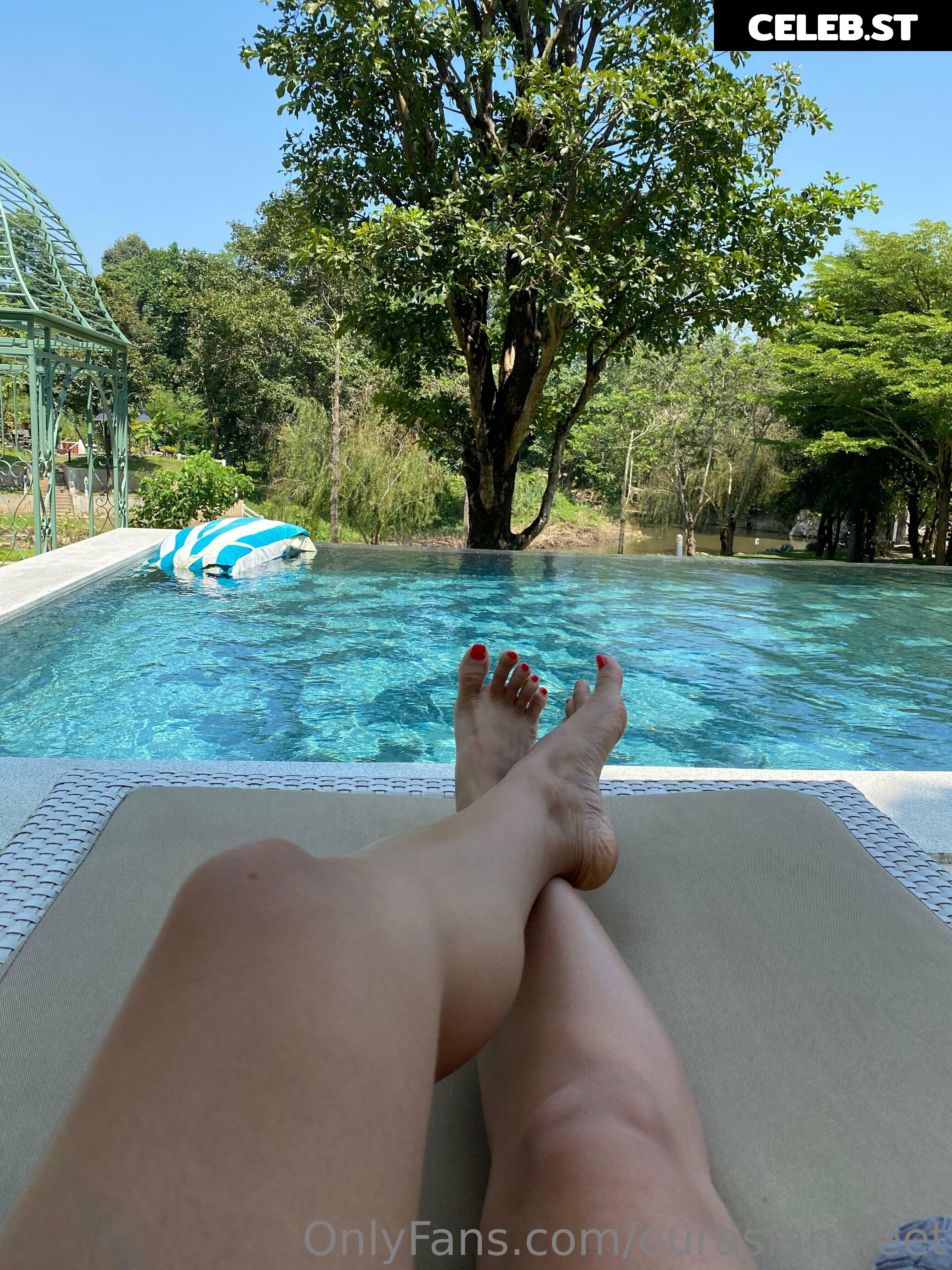 eurasian_feet Image 18066498
