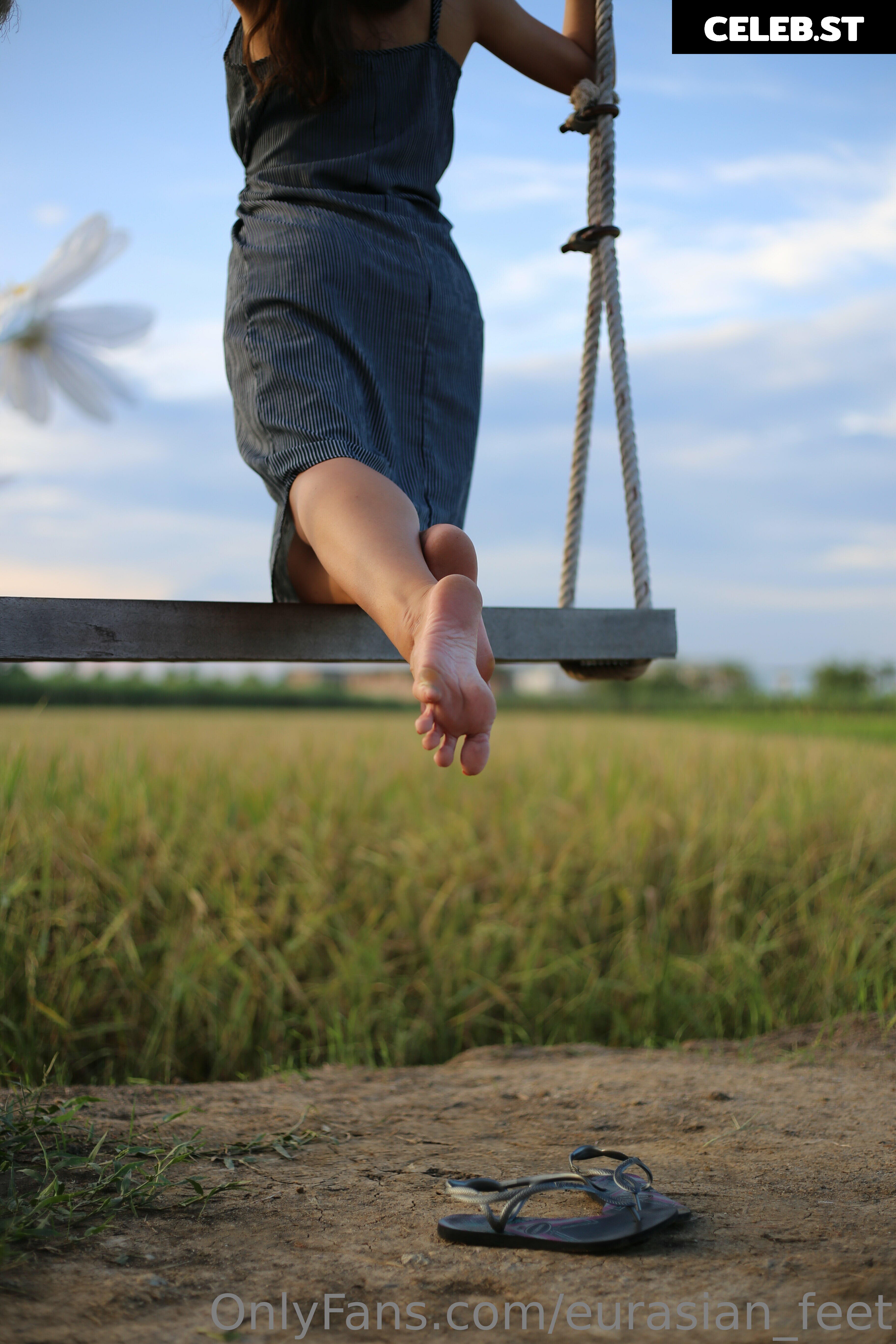 eurasian_feet Image 18066482