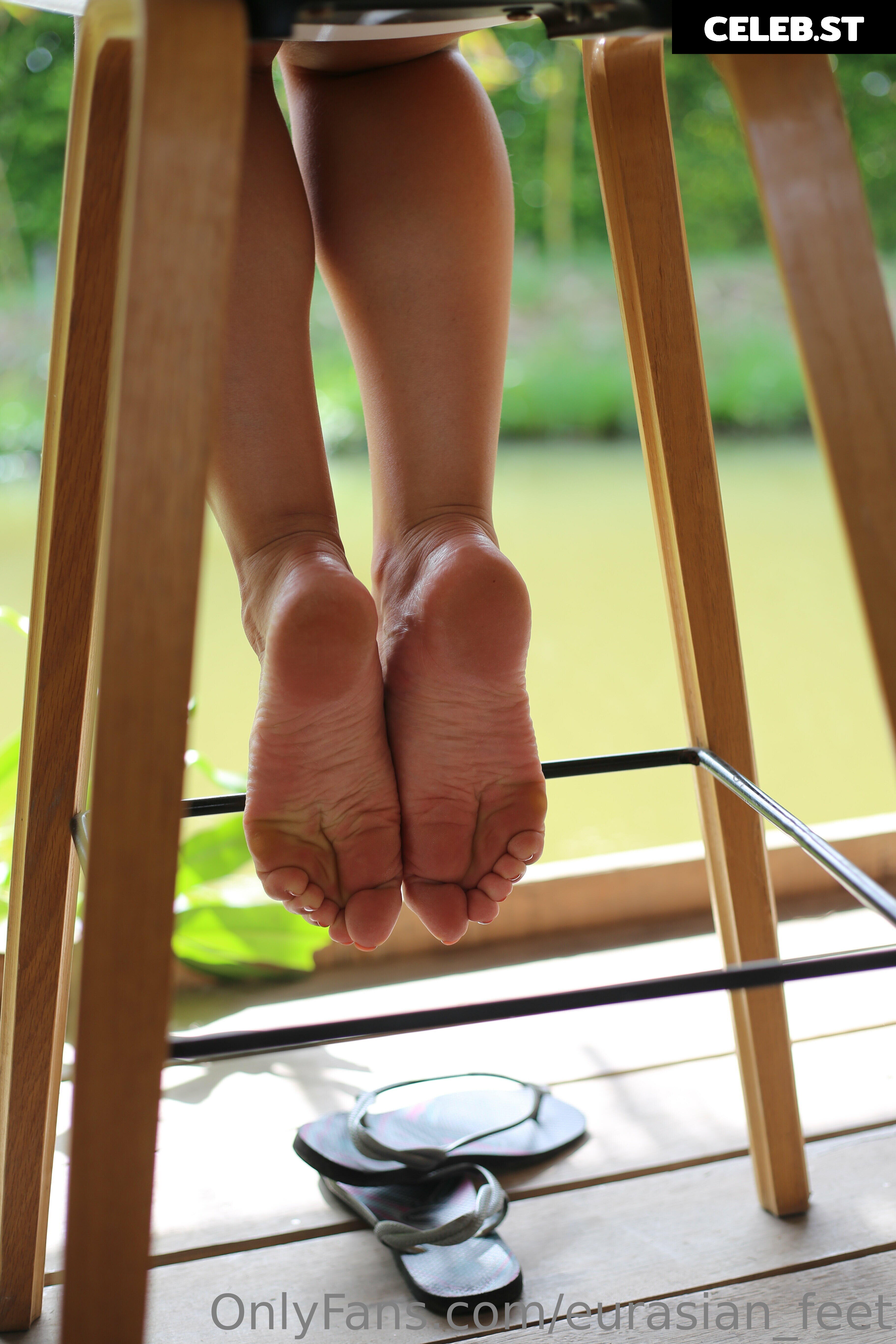 eurasian_feet Image 18066736