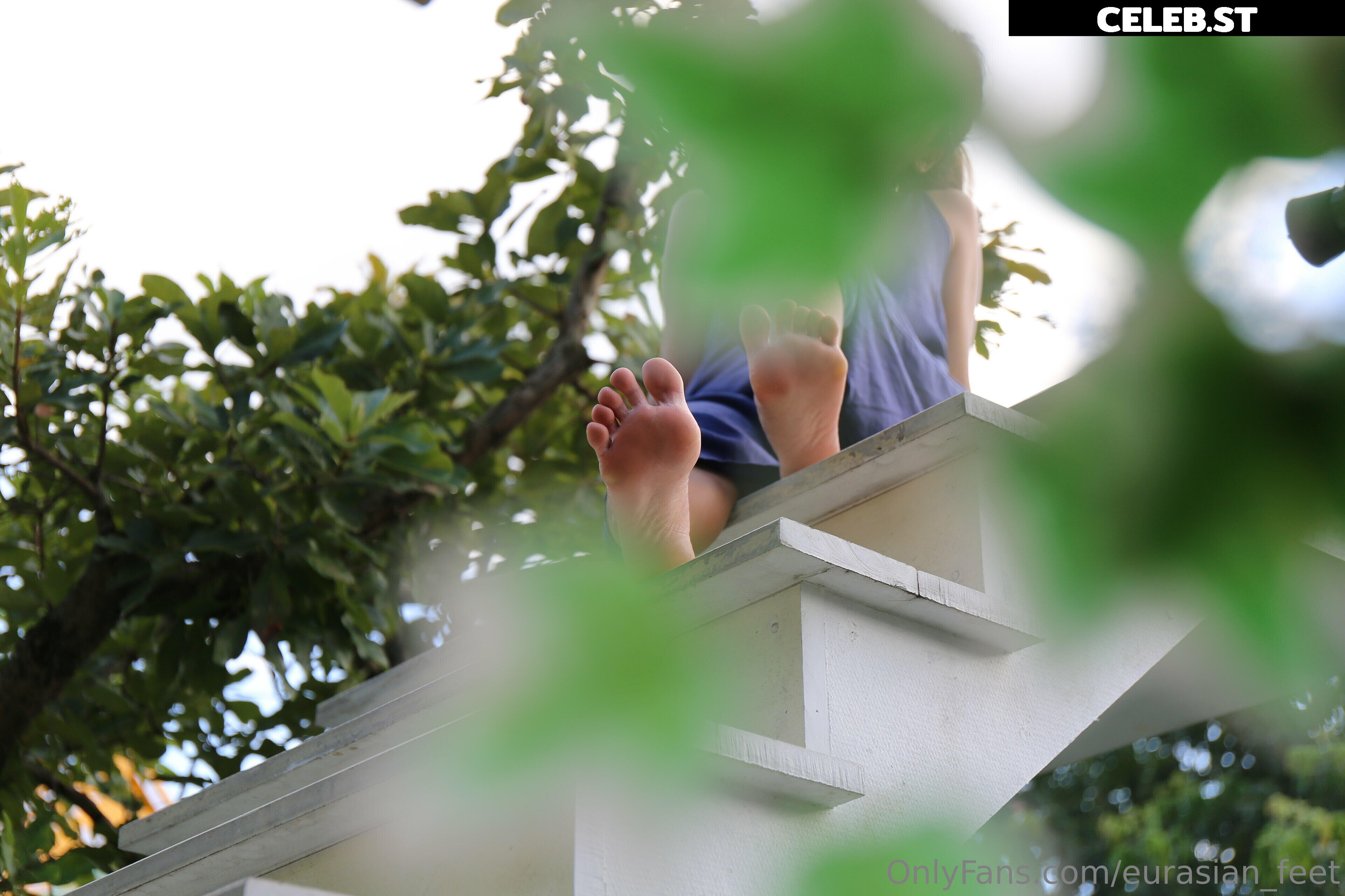 eurasian_feet Image 18066779
