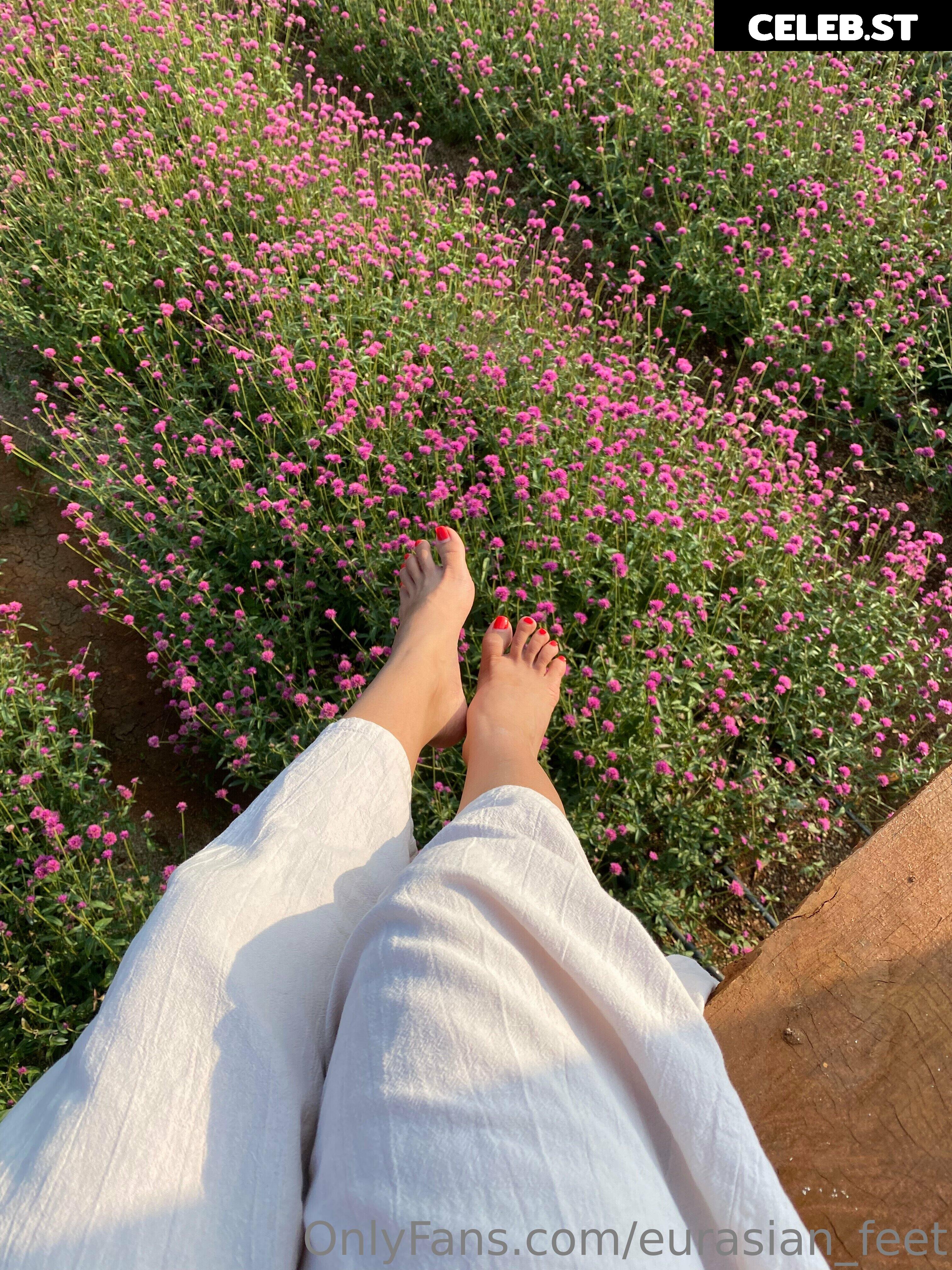 eurasian_feet Image 18066600