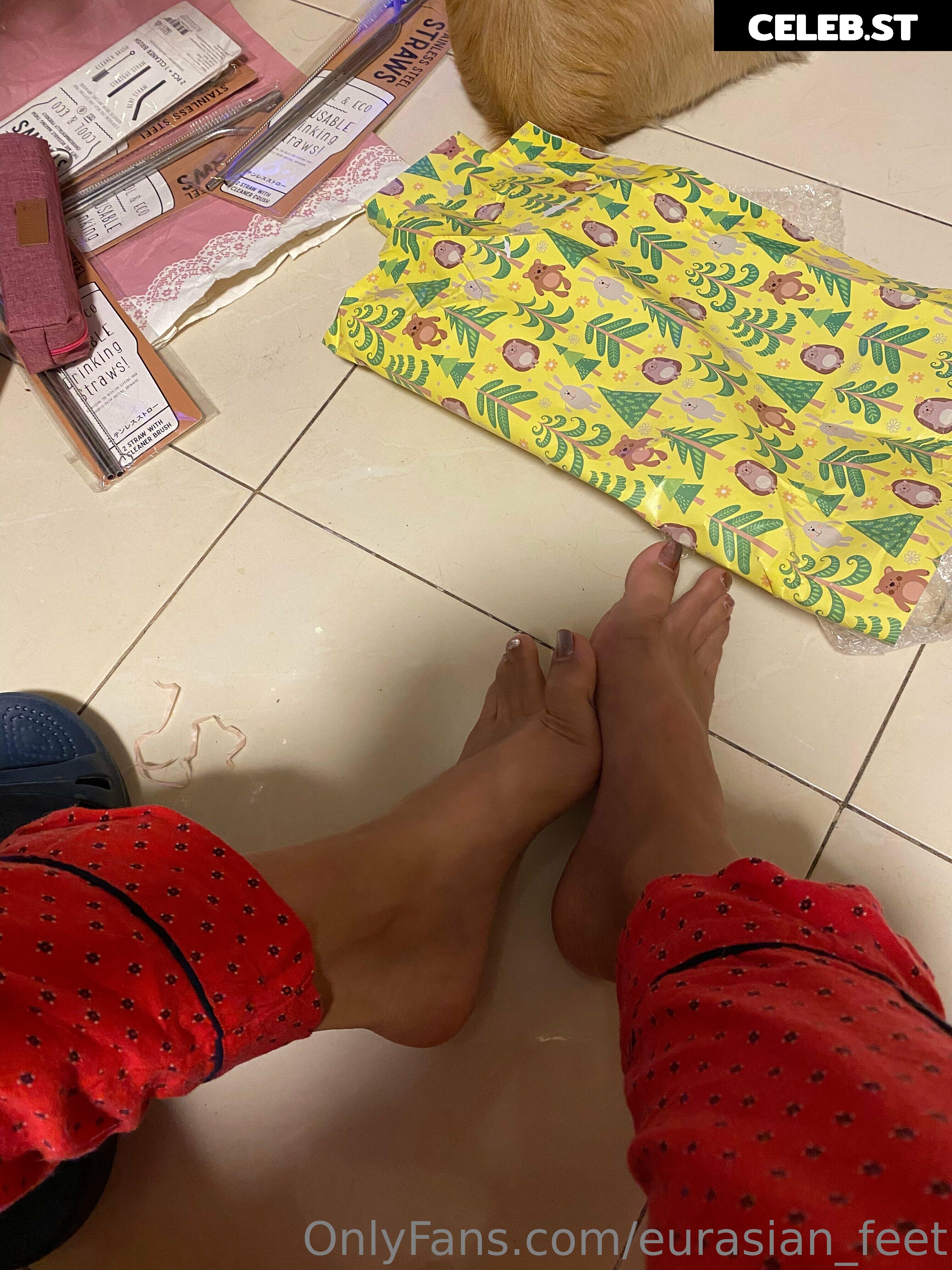 eurasian_feet Image 18066652