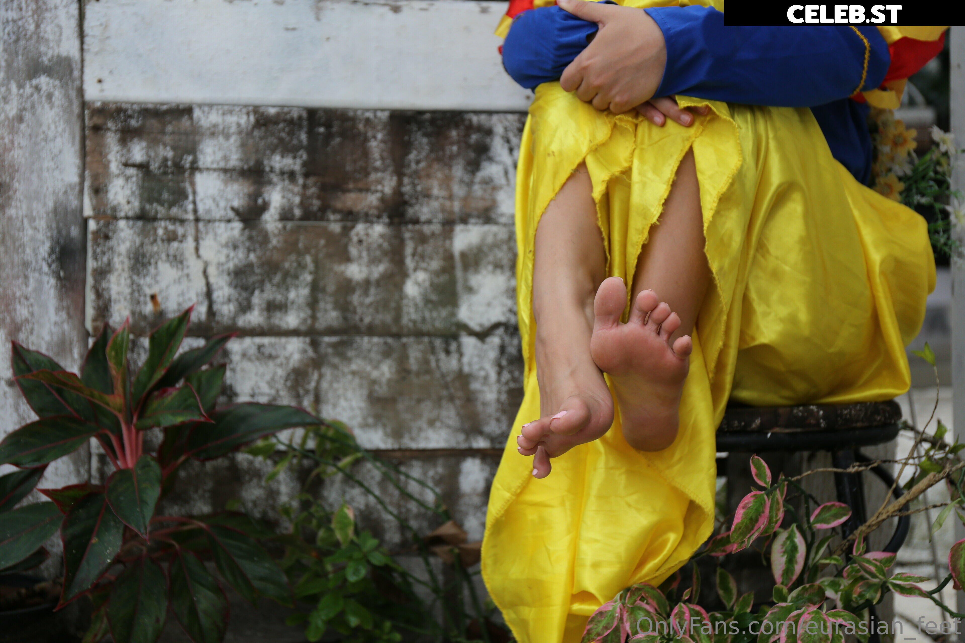 eurasian_feet Image 18066649