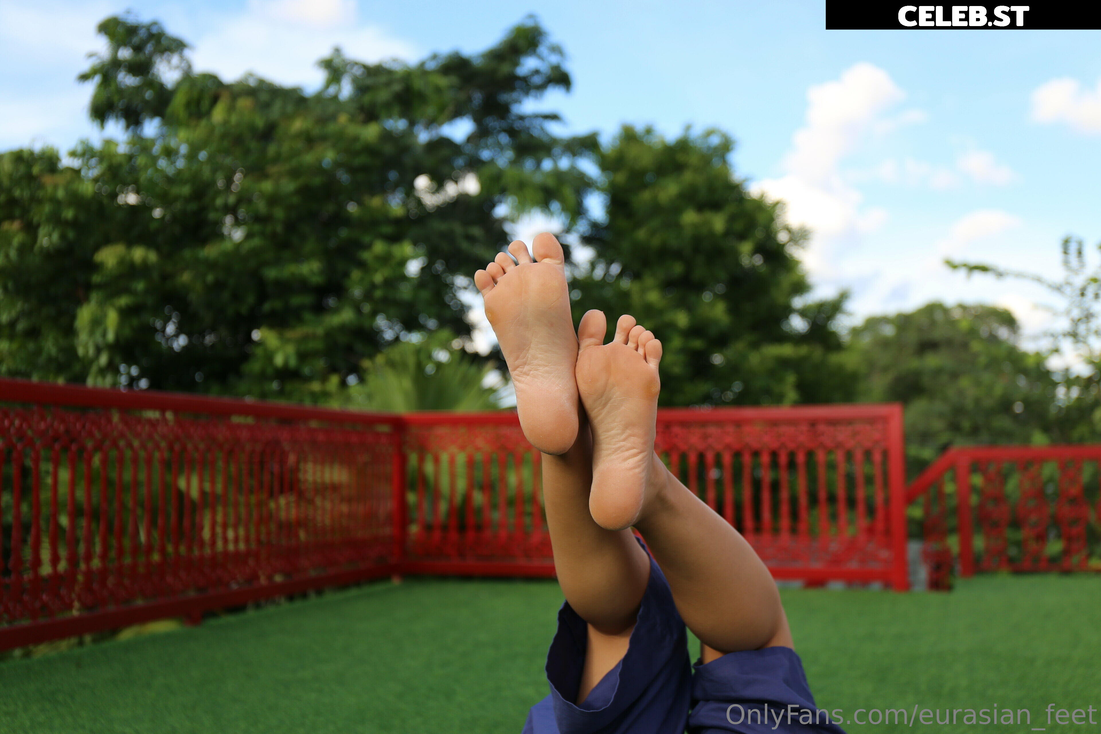 eurasian_feet Image 18066106