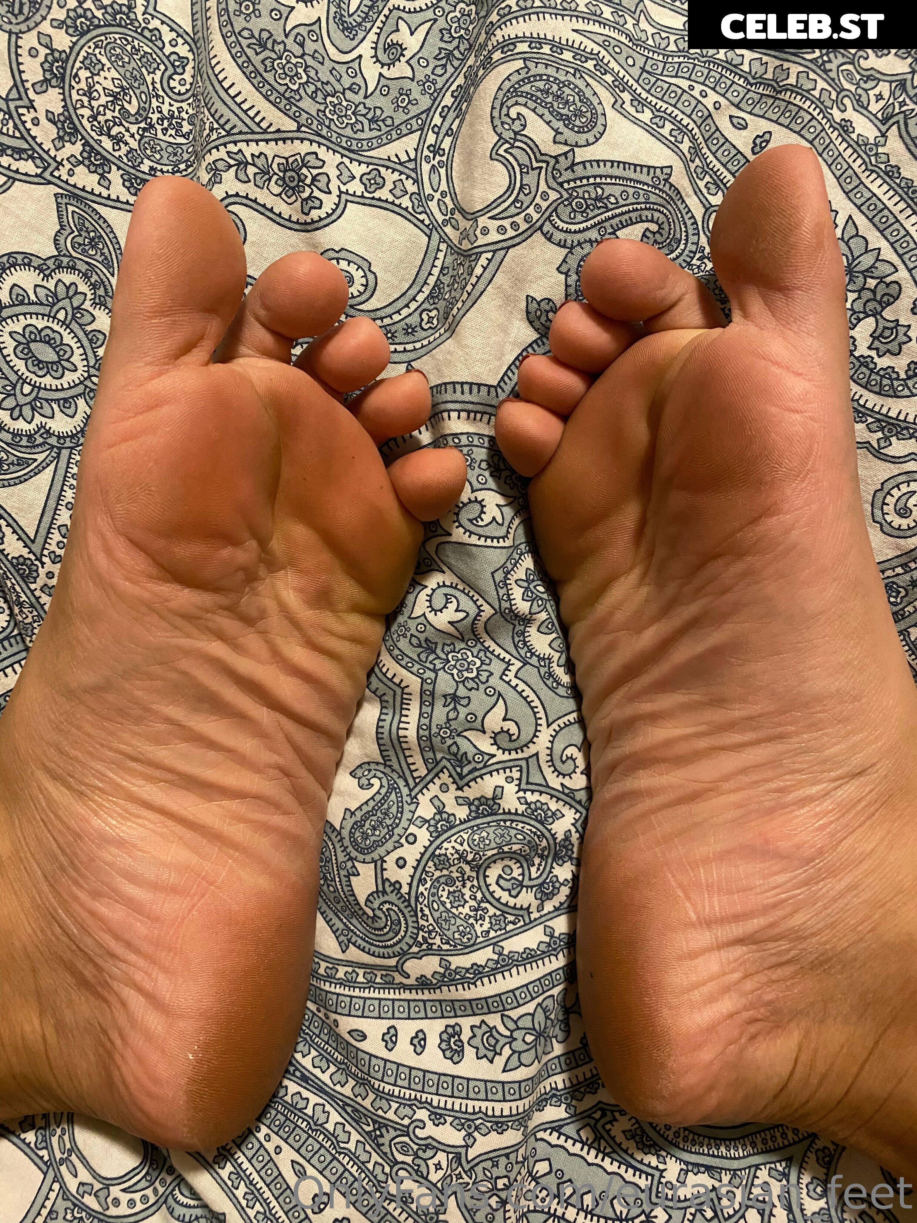 eurasian_feet Image 18066284