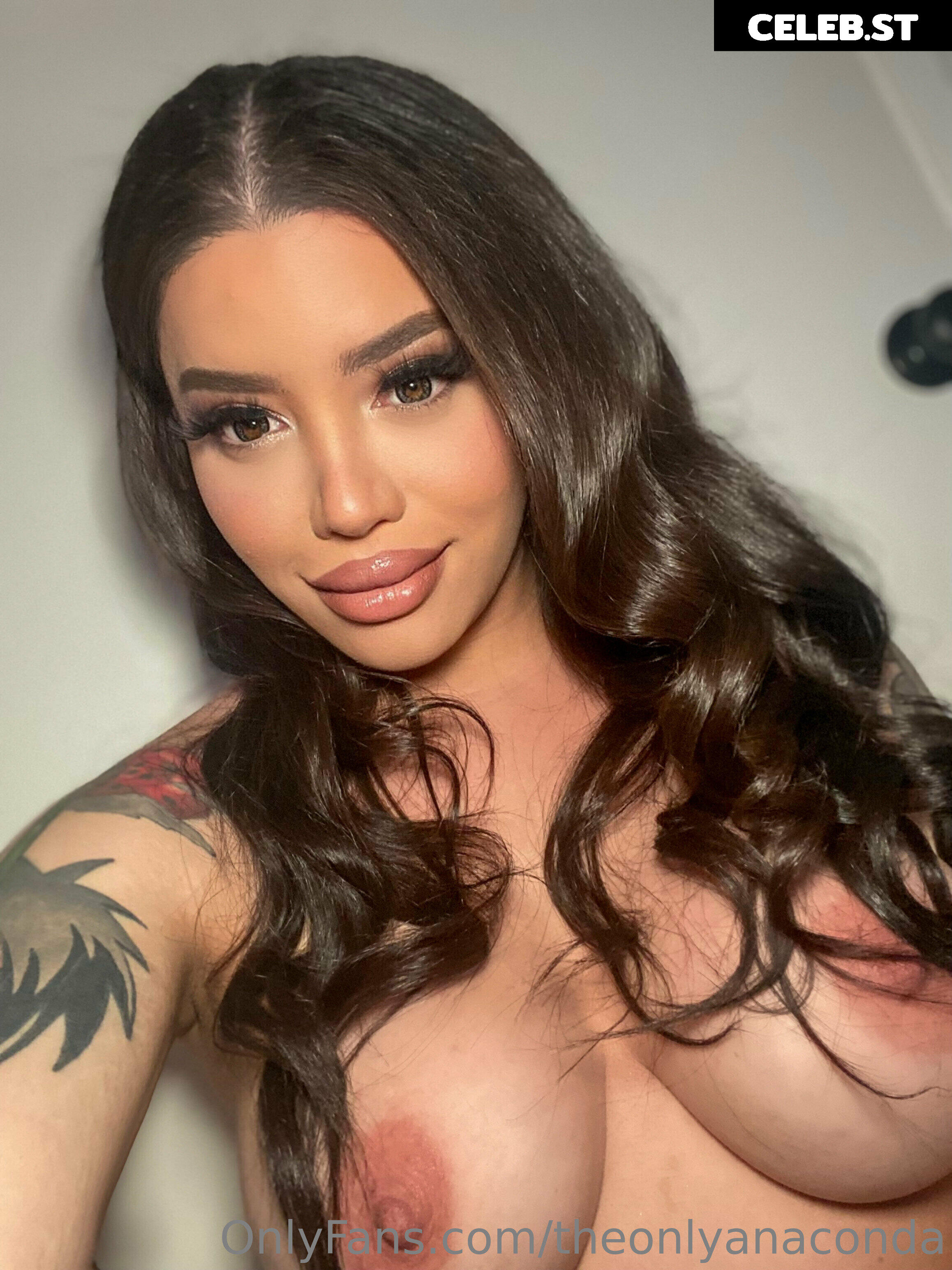theonlyanaconda Image 18060673