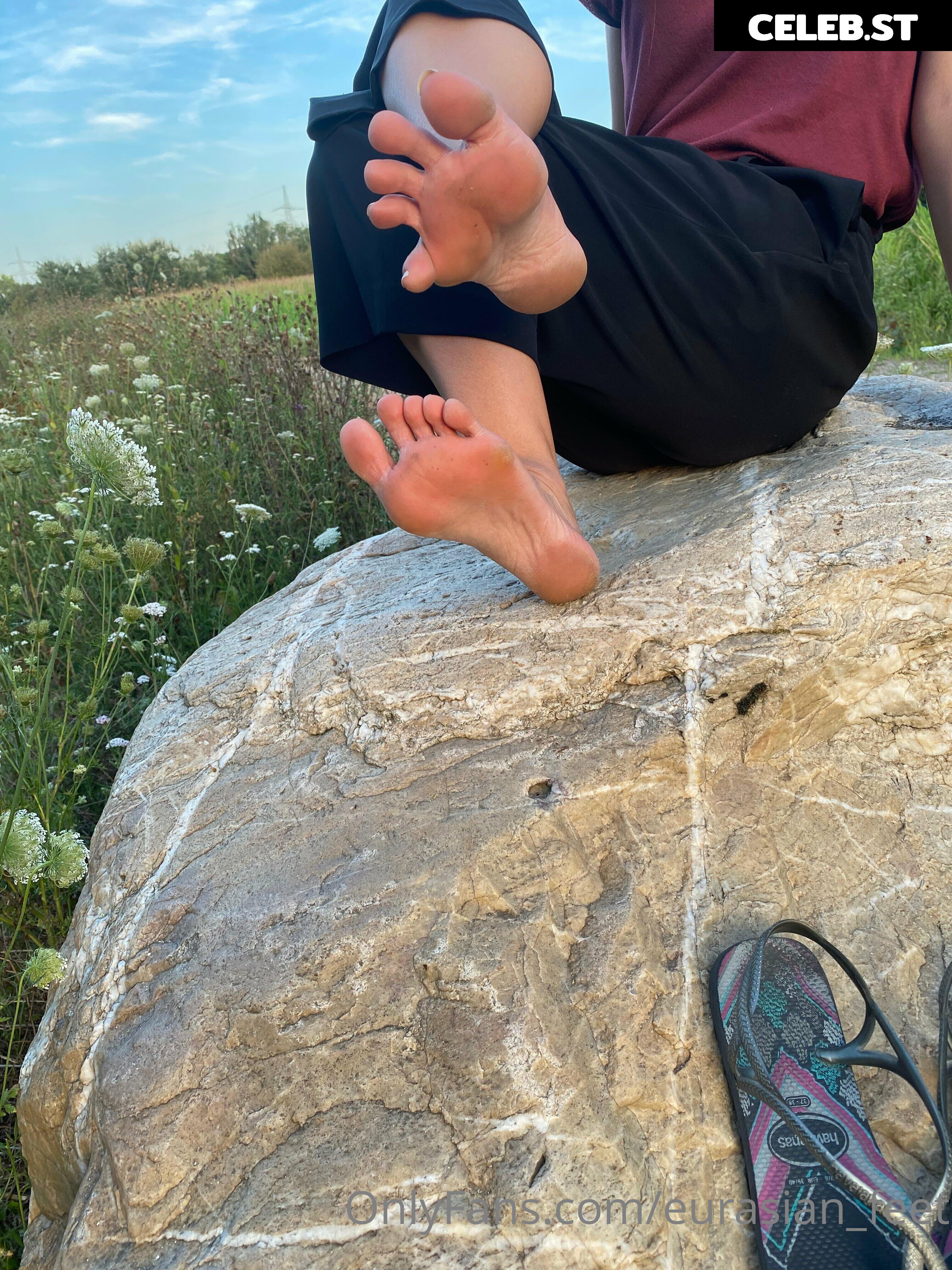 eurasian_feet Image 18069101