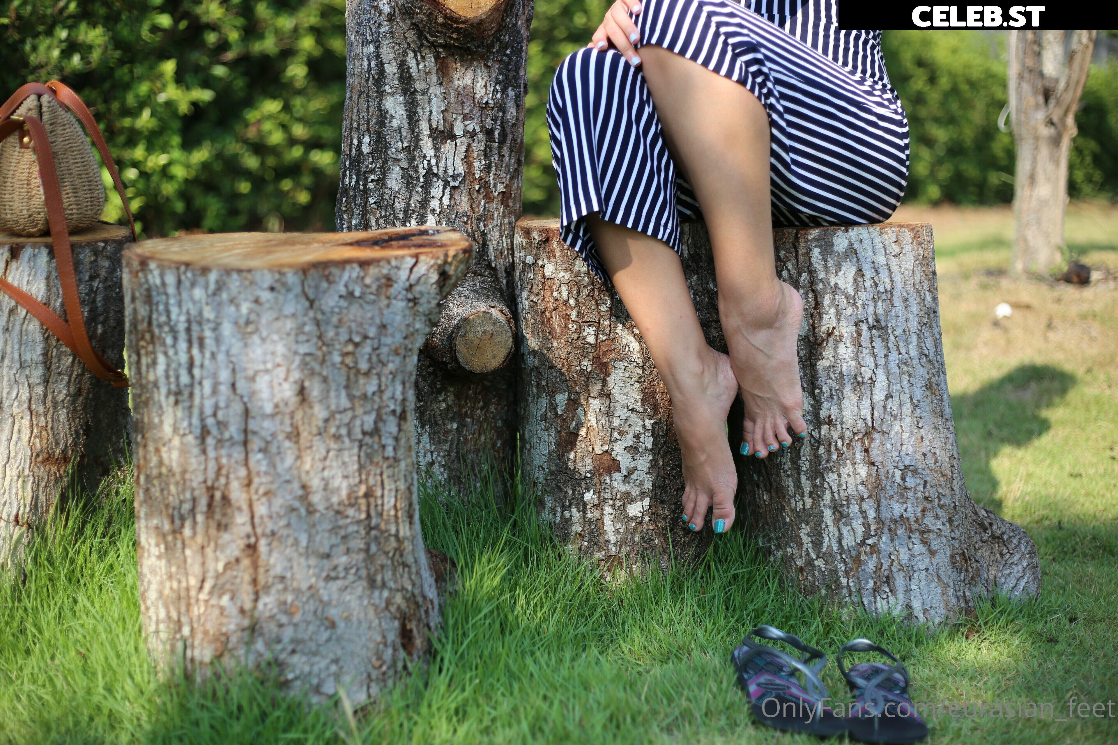 eurasian_feet Image 18069176