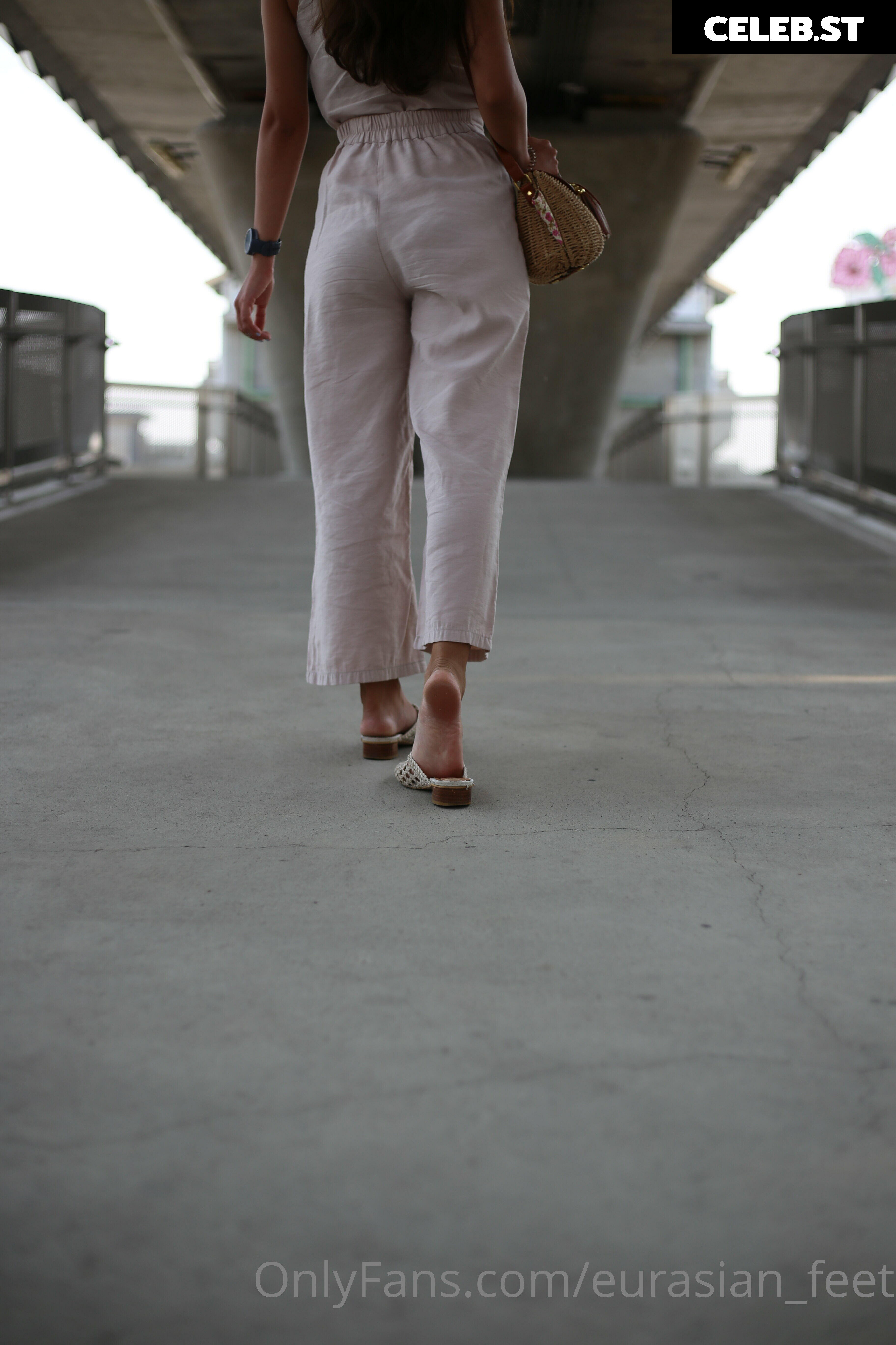 eurasian_feet Image 18069072