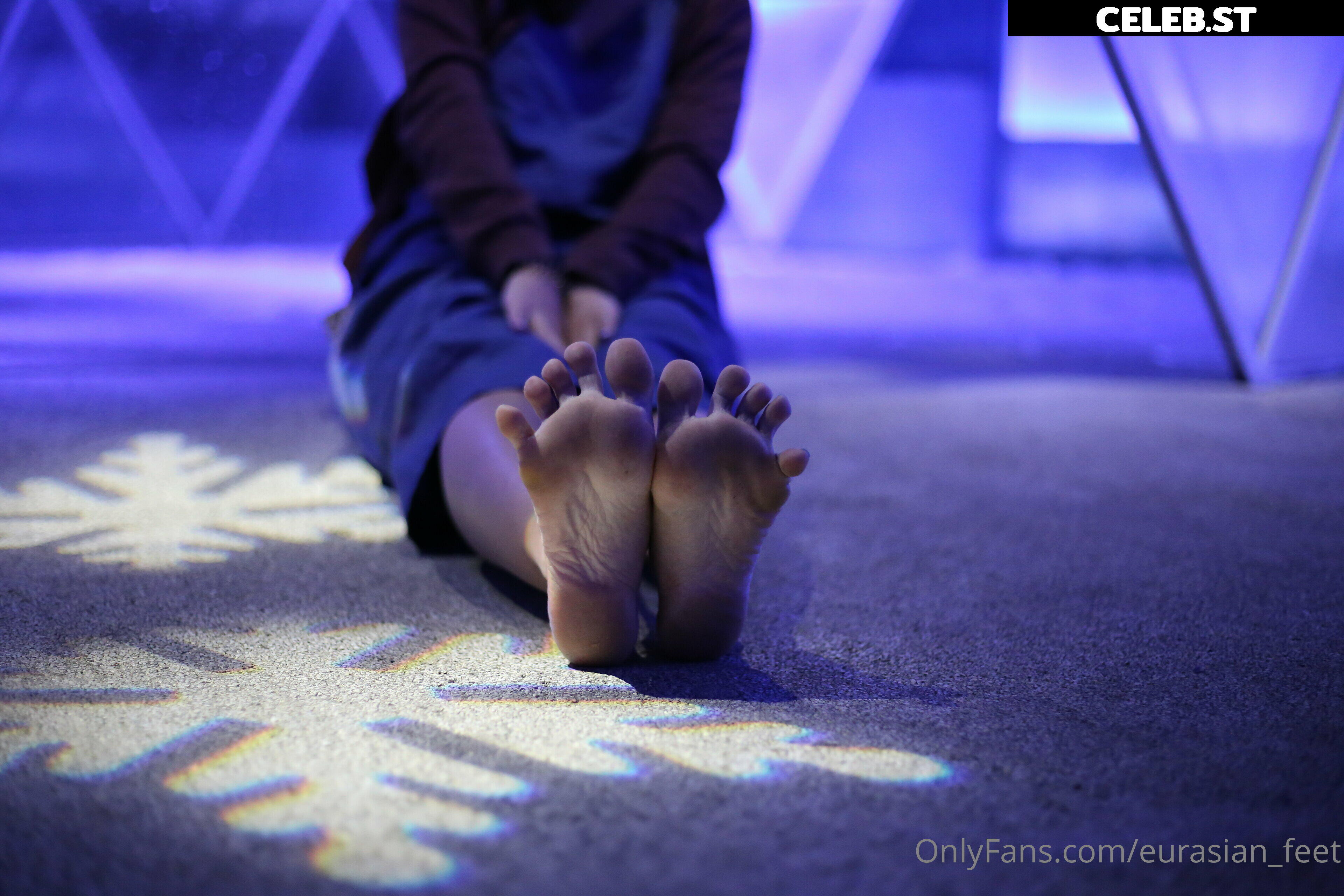 eurasian_feet Image 18069331