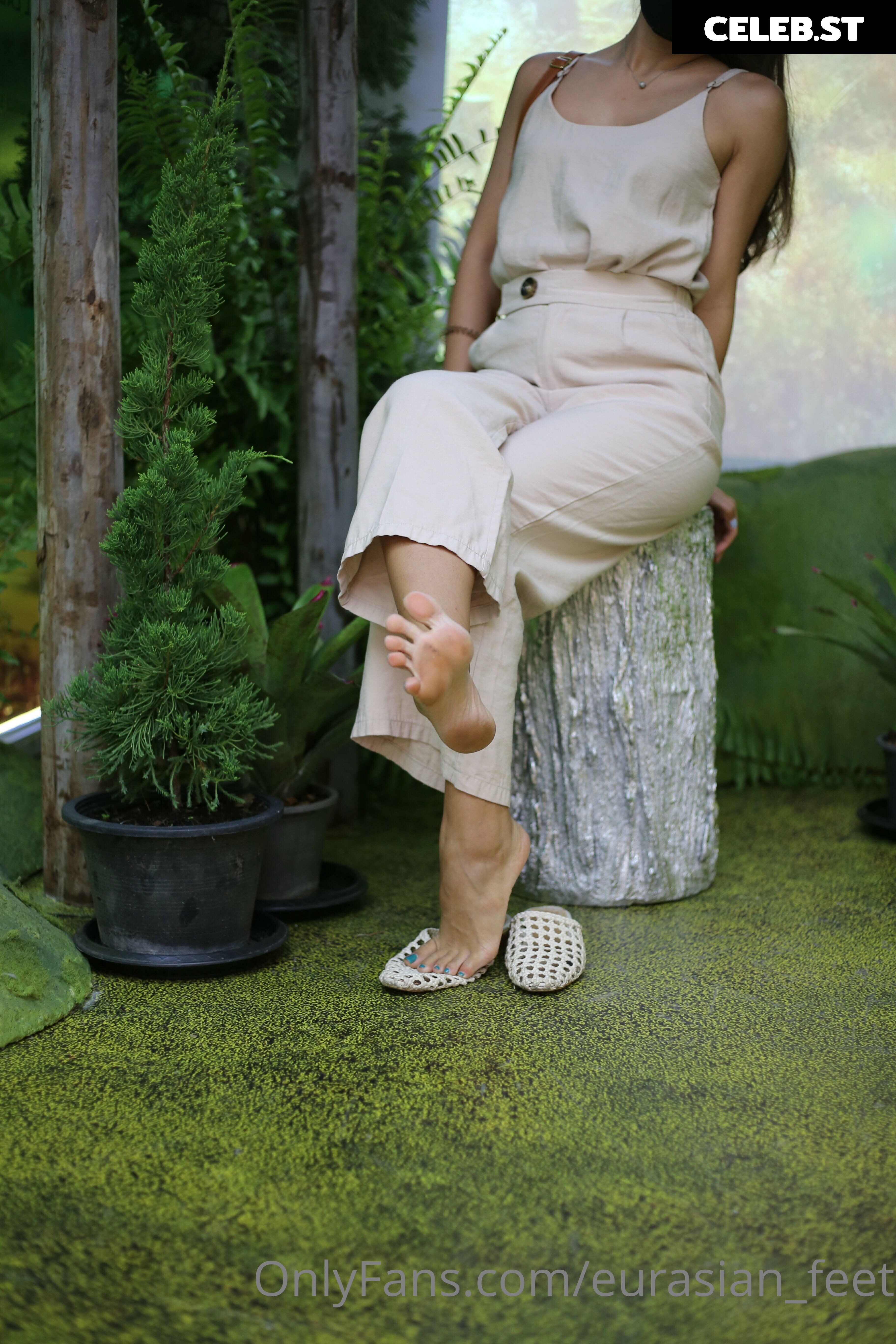 eurasian_feet Image 18069210
