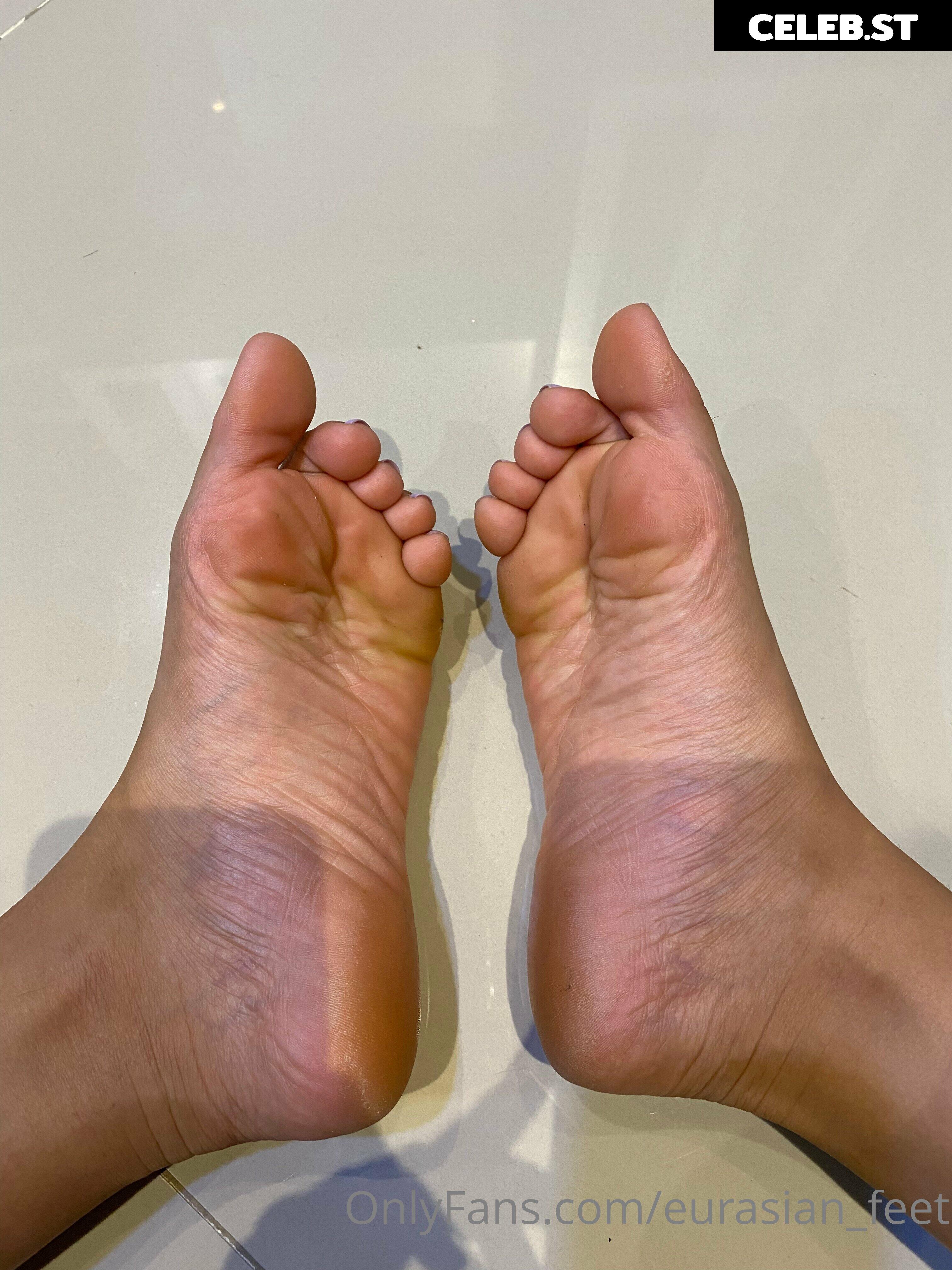 eurasian_feet Image 18069218