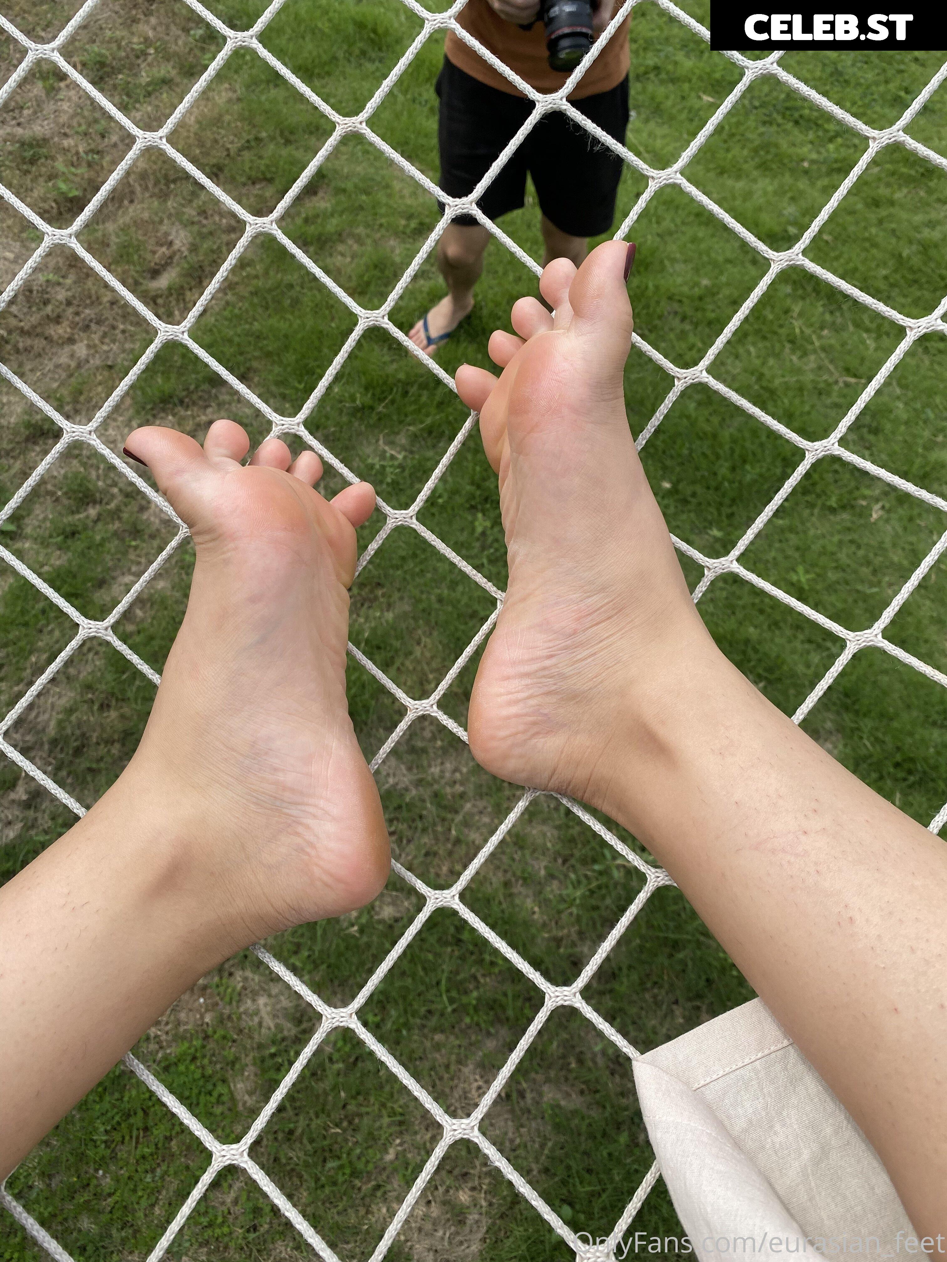 eurasian_feet Image 18078888
