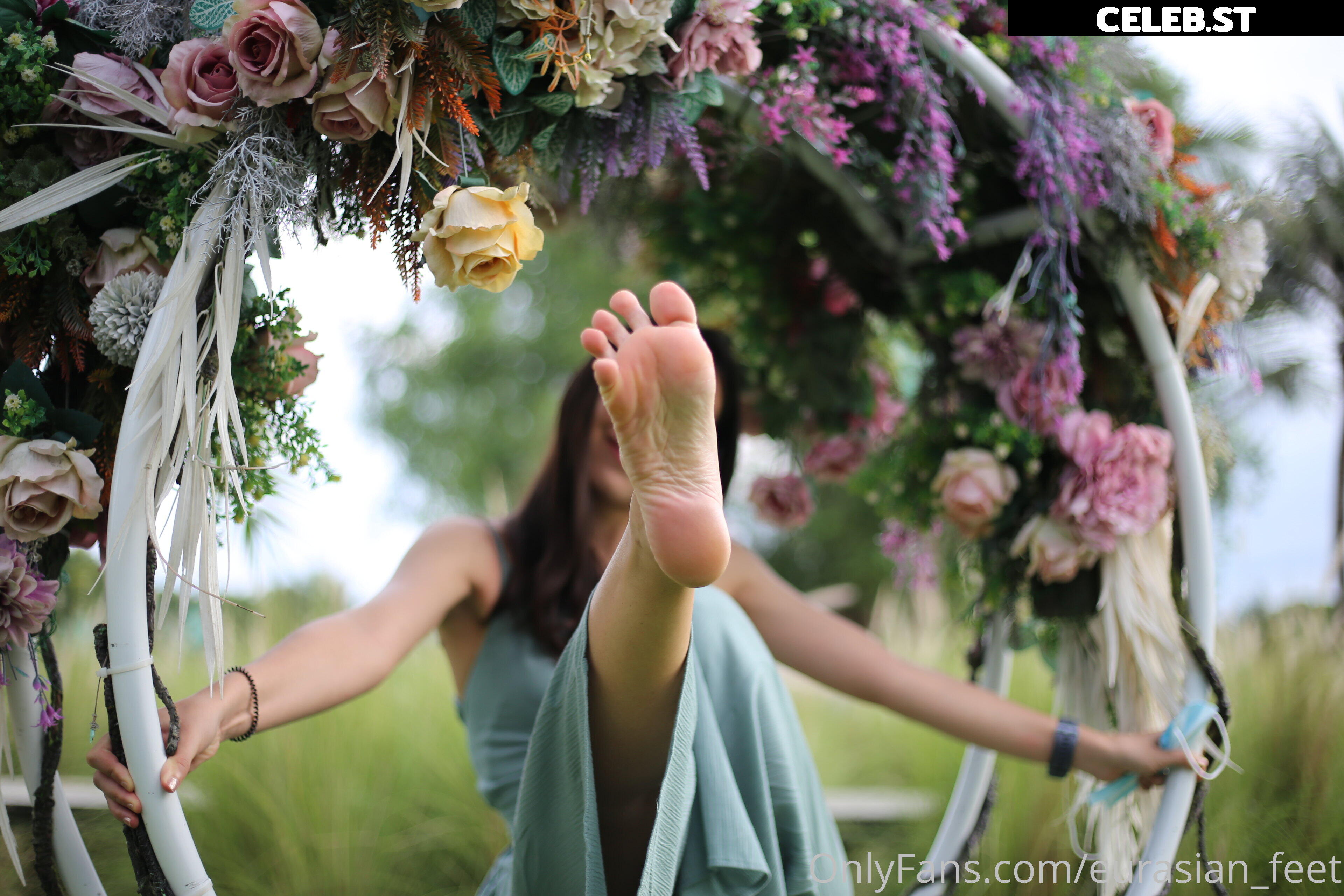 eurasian_feet Image 18078757