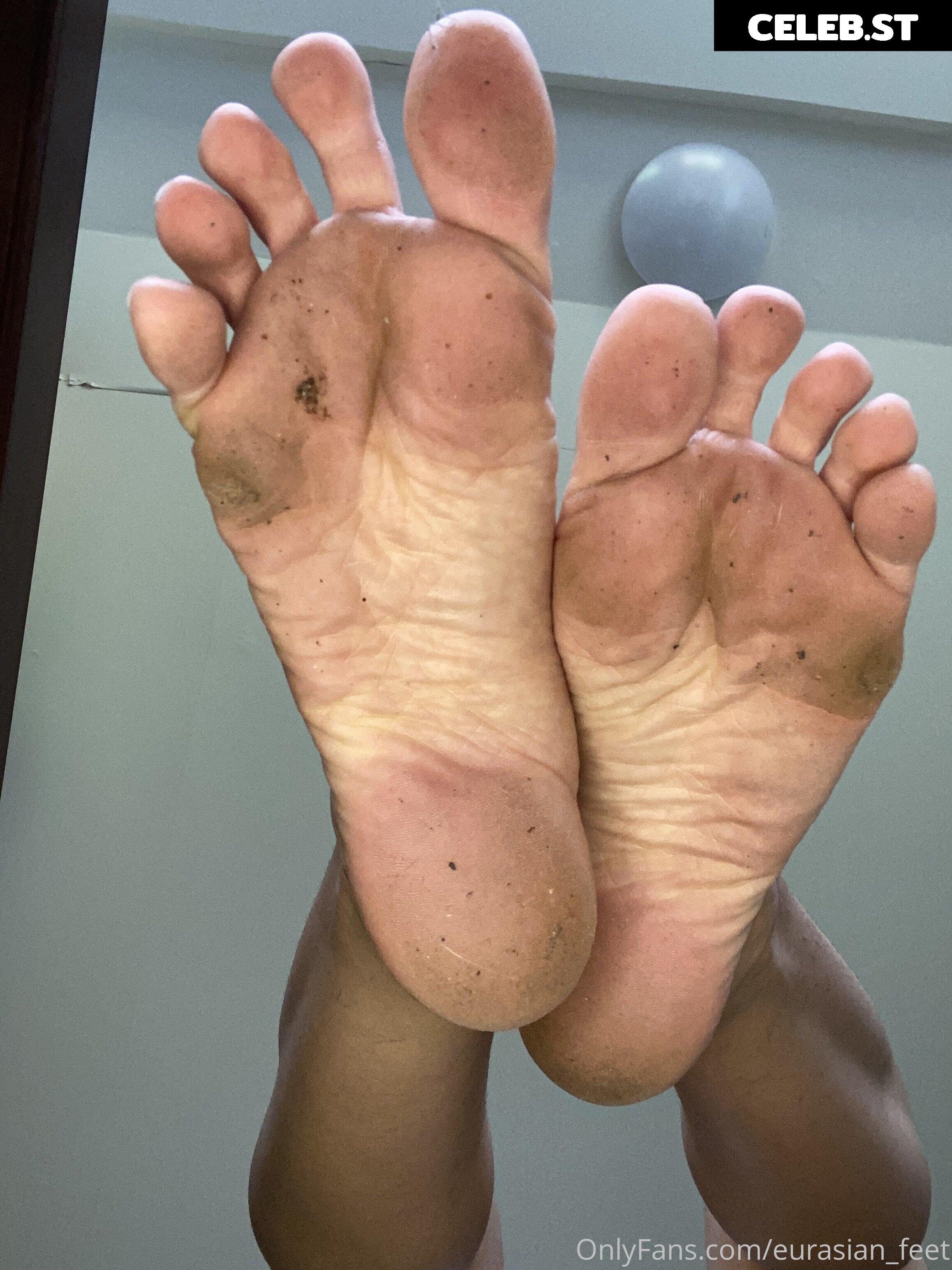 eurasian_feet Image 18078638