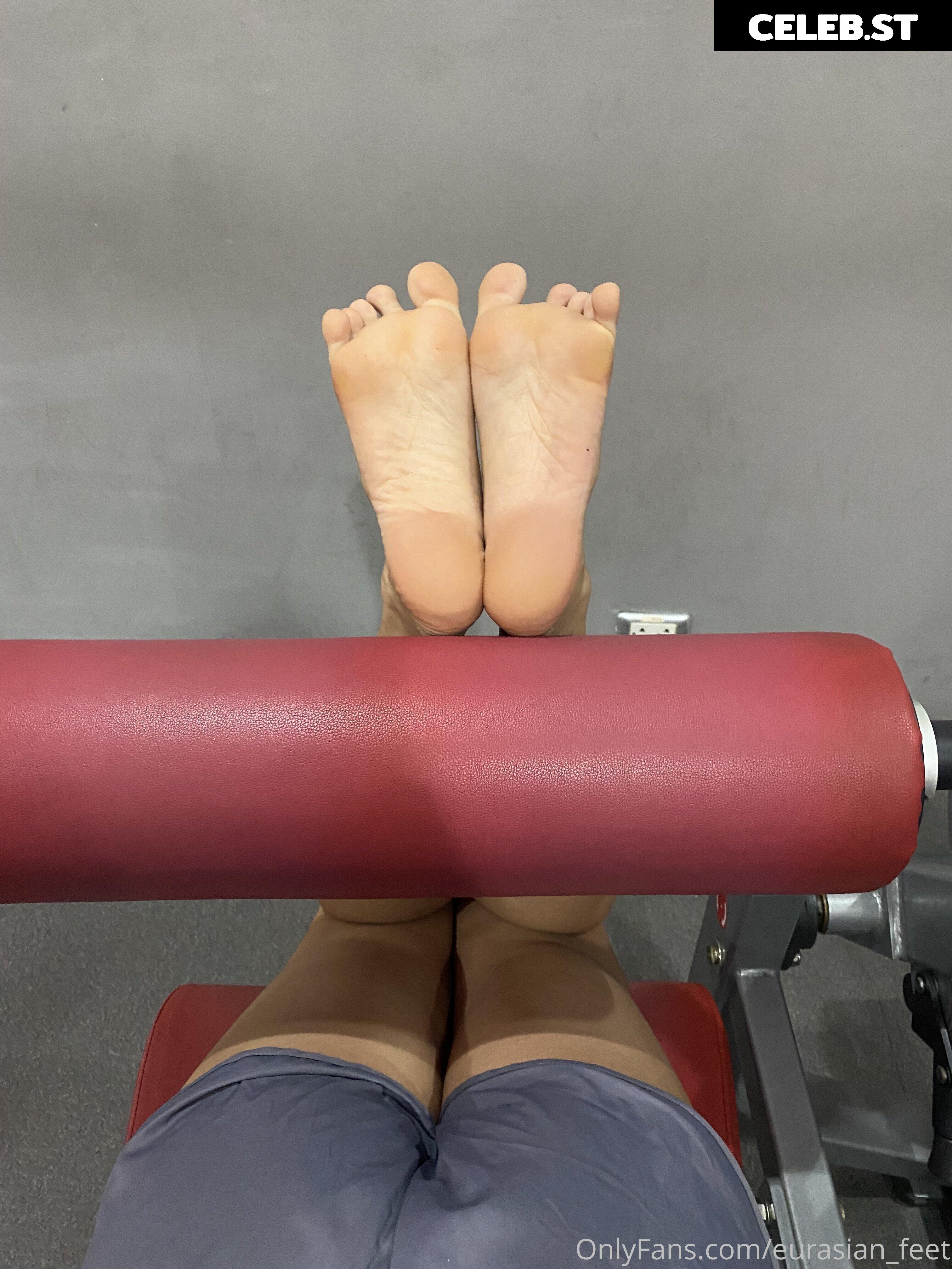 eurasian_feet Image 18077934