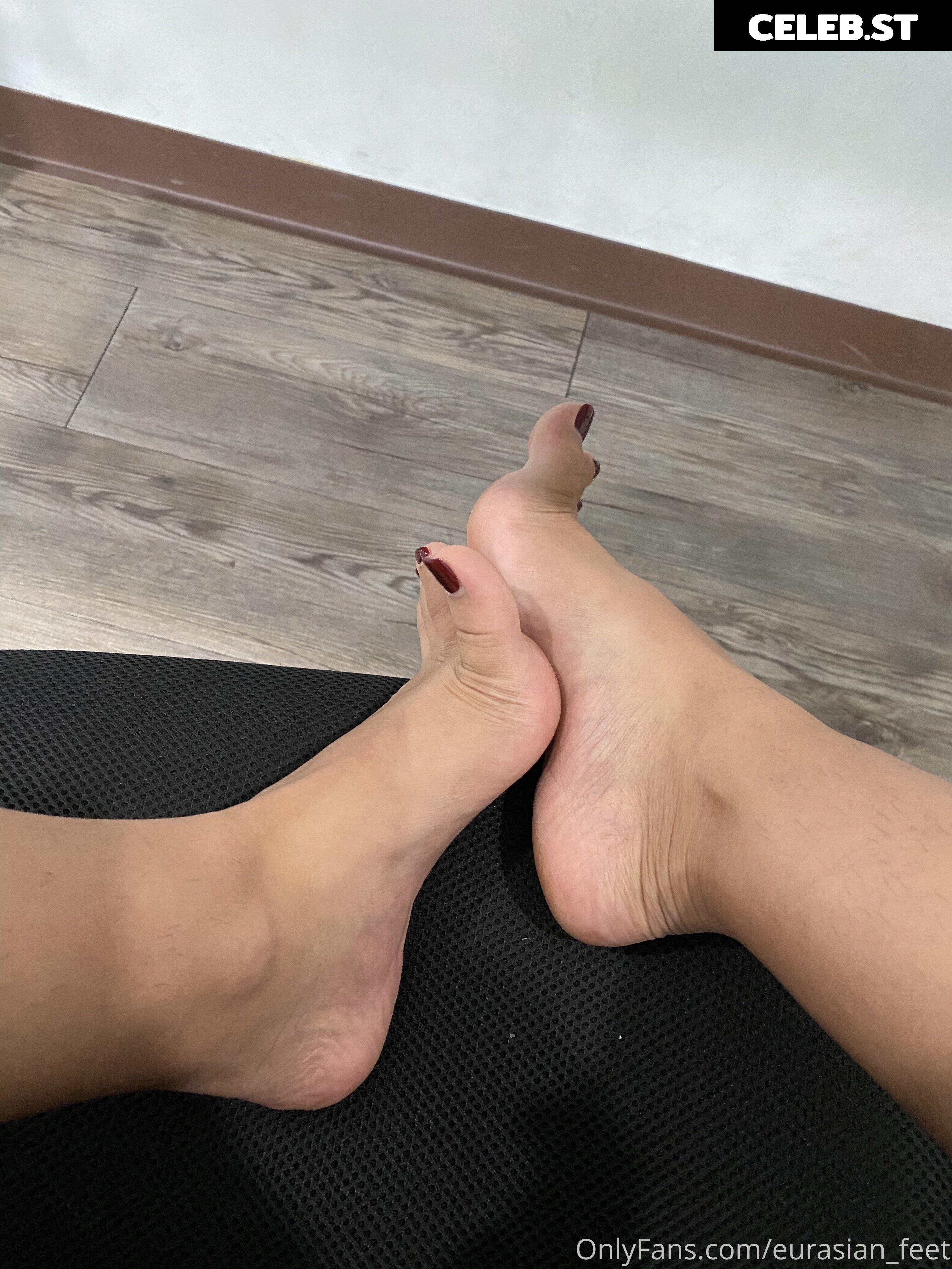 eurasian_feet Image 18077850