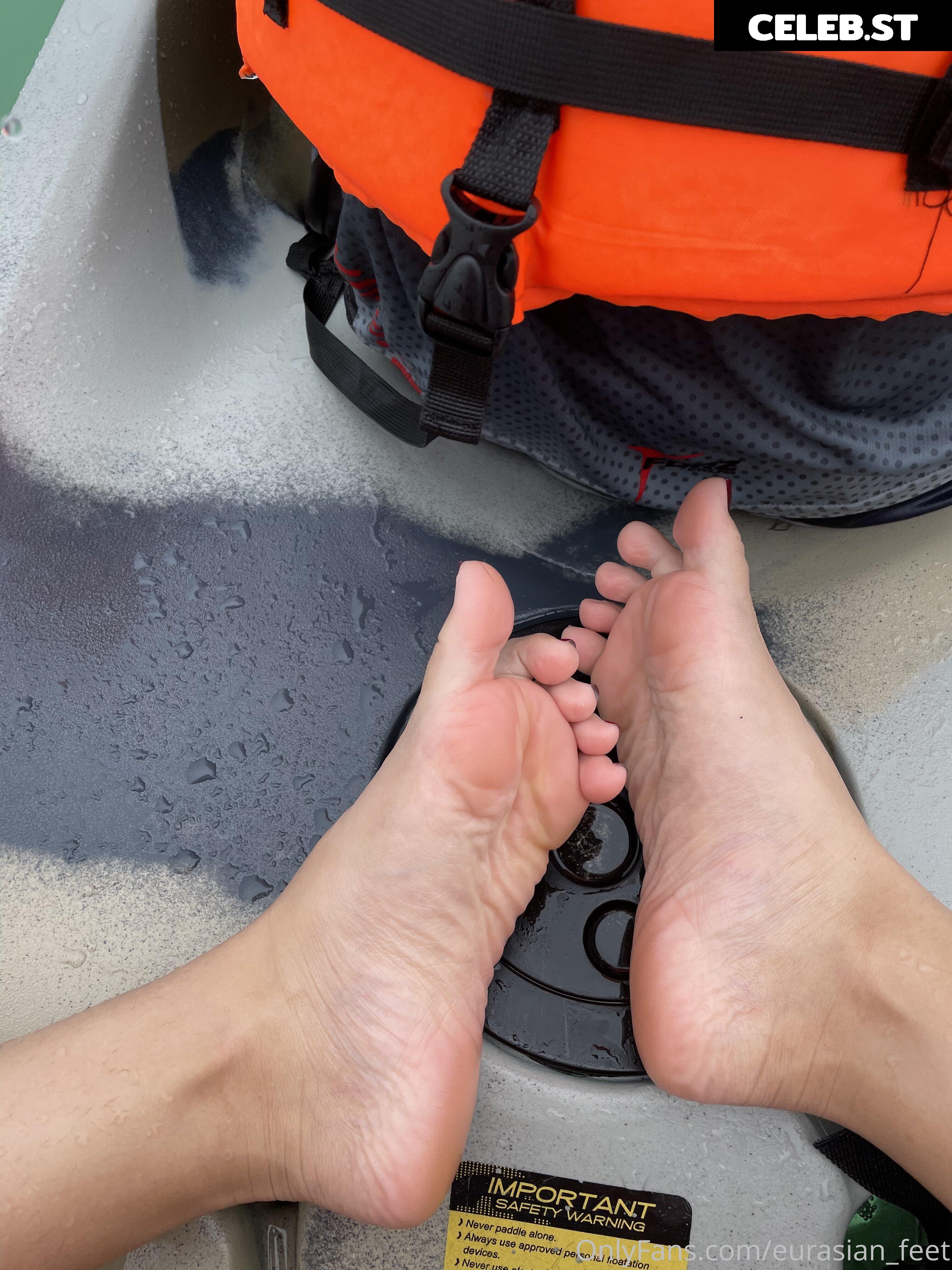 eurasian_feet Image 18077876