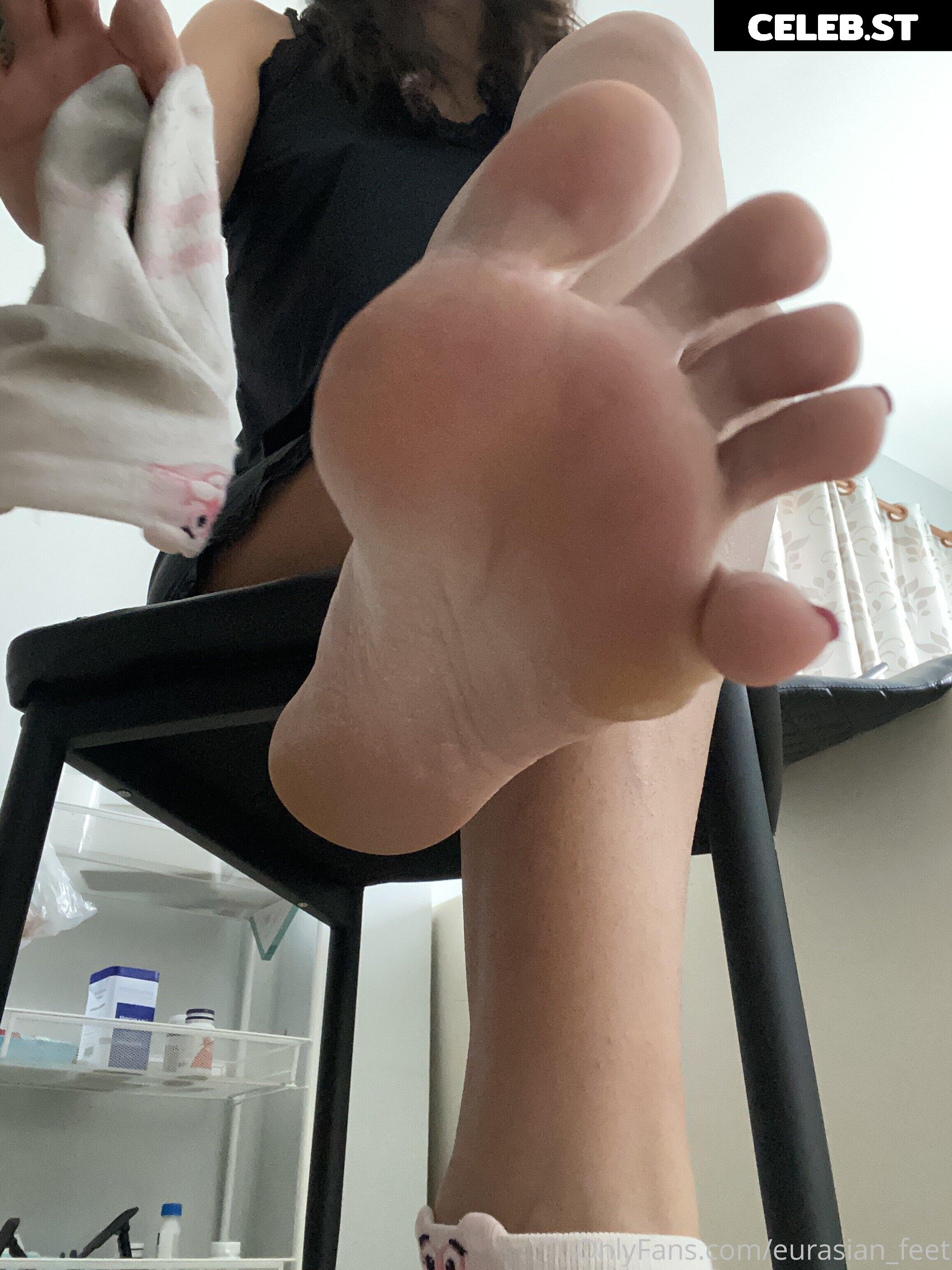 eurasian_feet Image 18077106