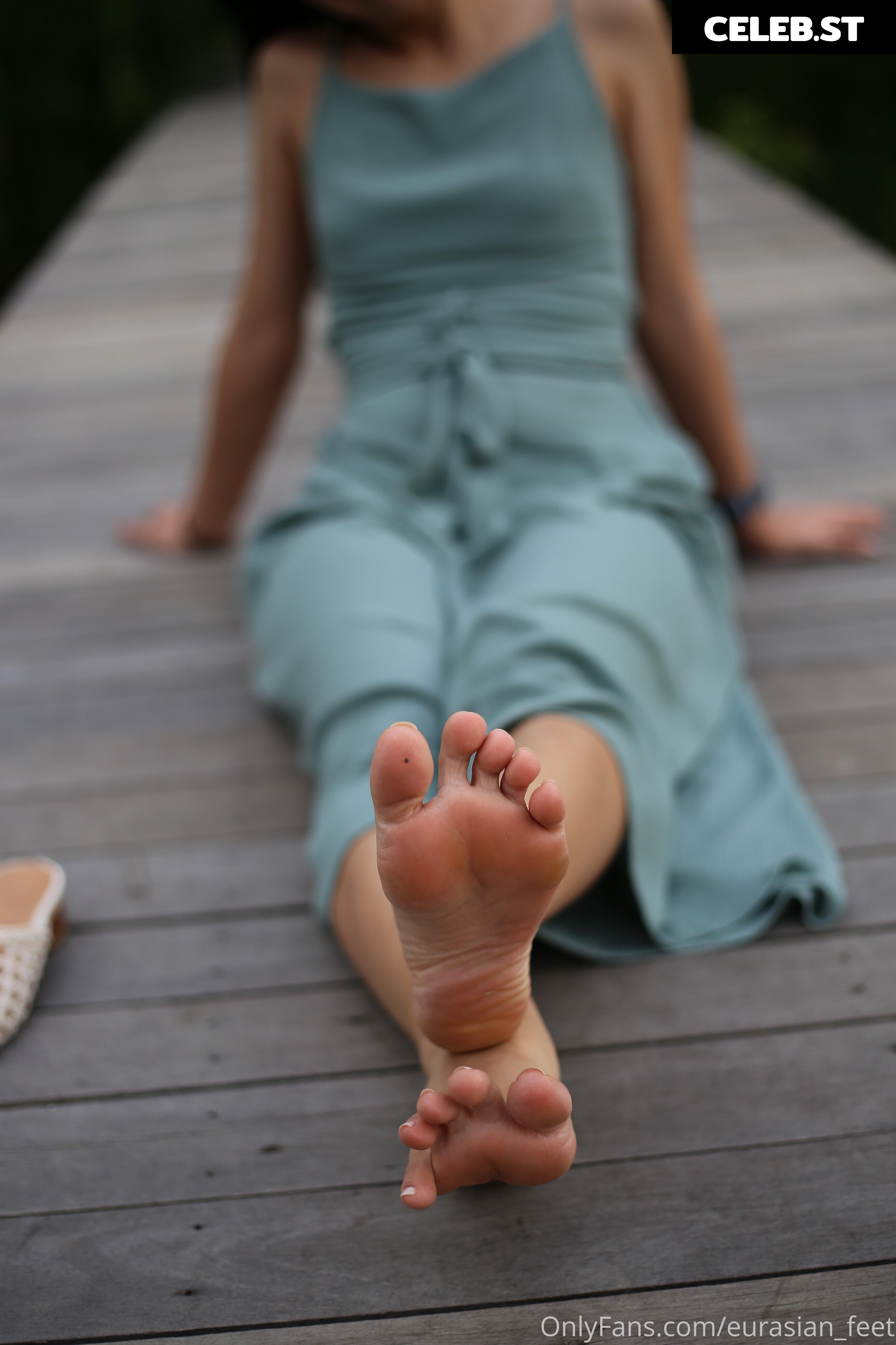 eurasian_feet Image 18077151