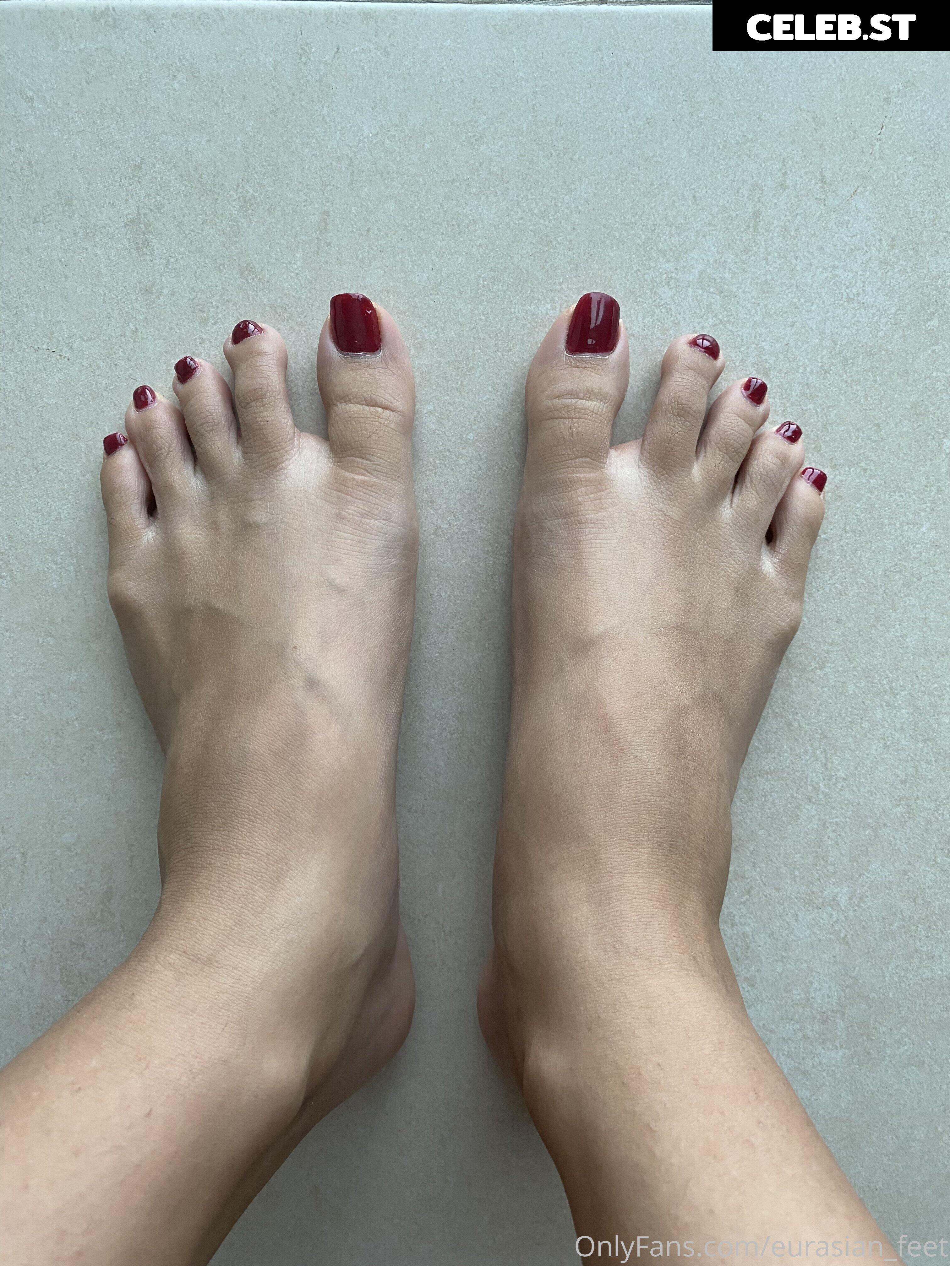 eurasian_feet Image 18077148