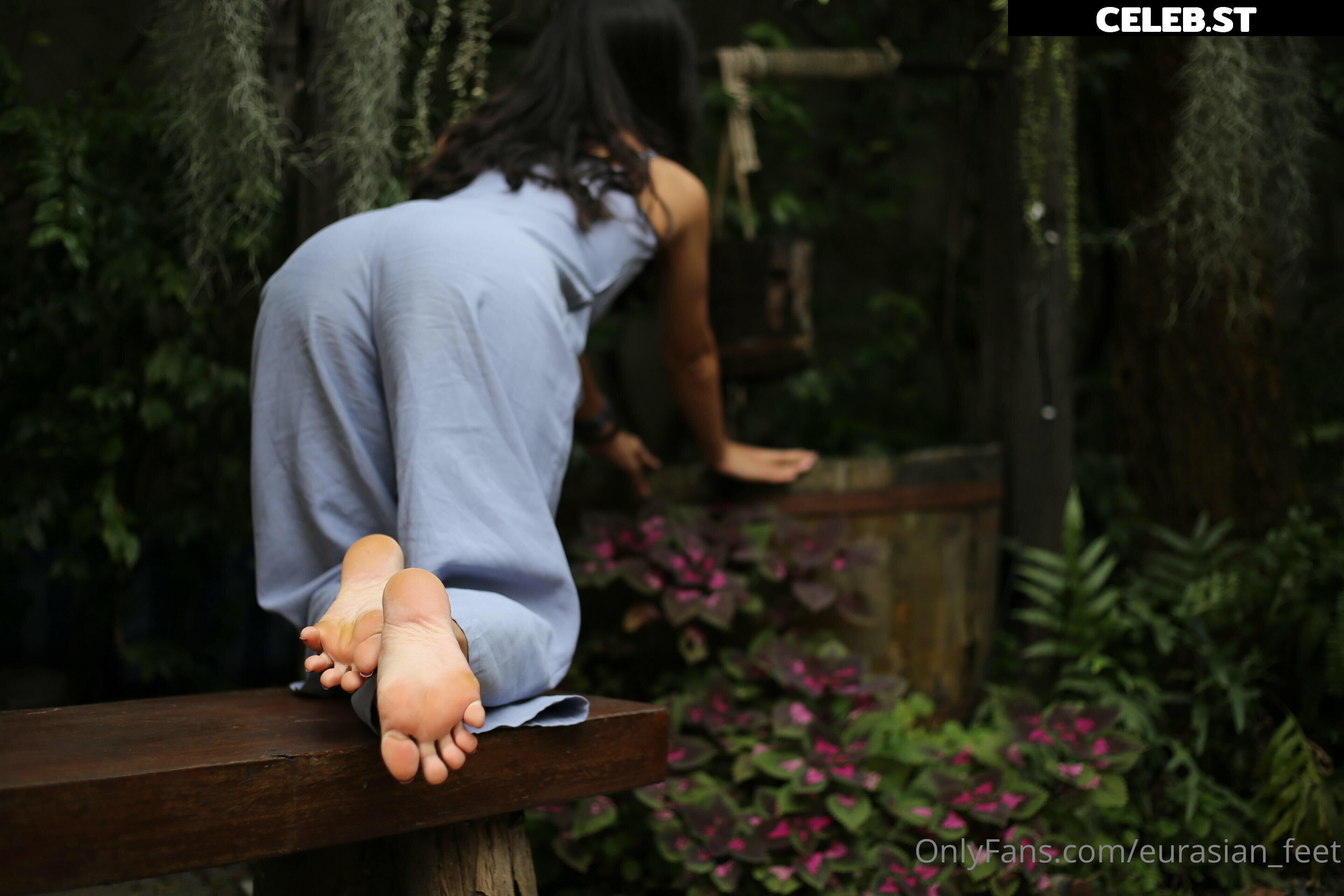 eurasian_feet Image 18071411