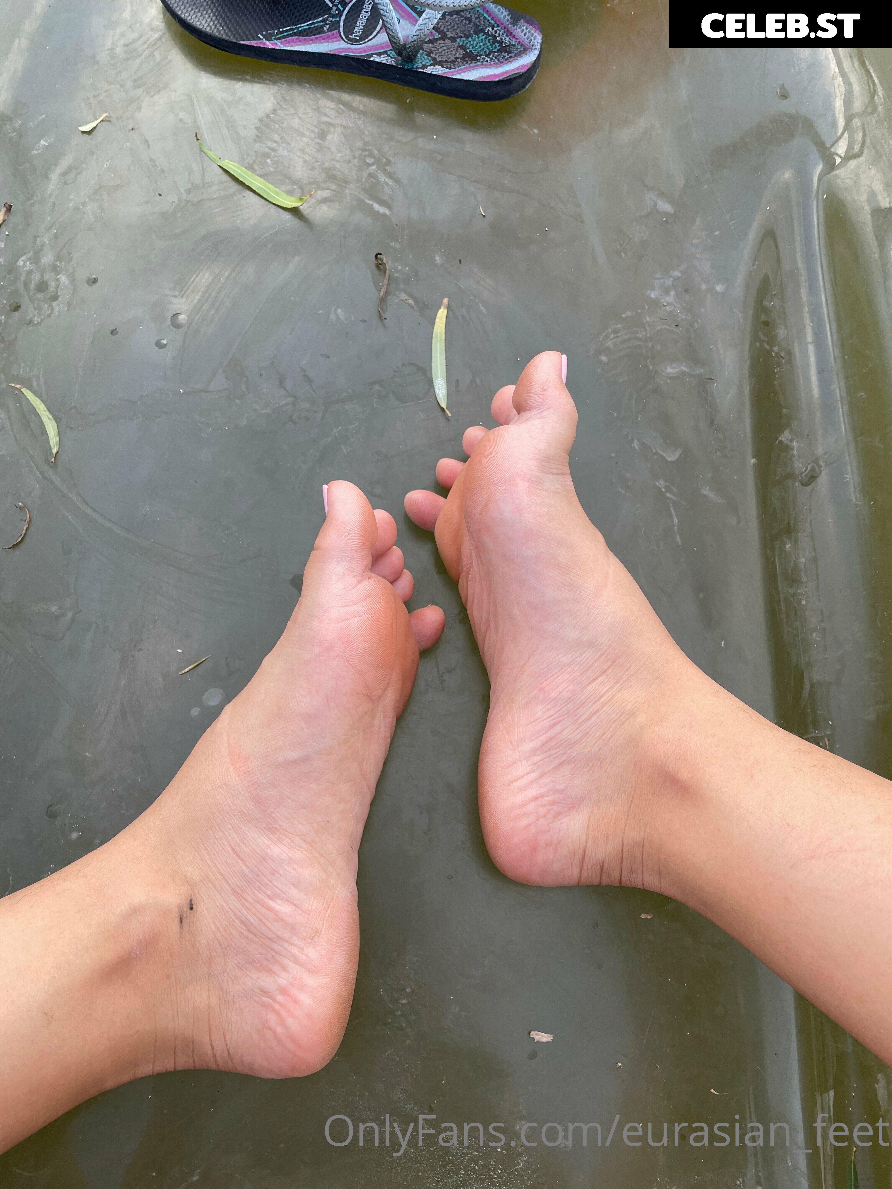 eurasian_feet Image 18071442