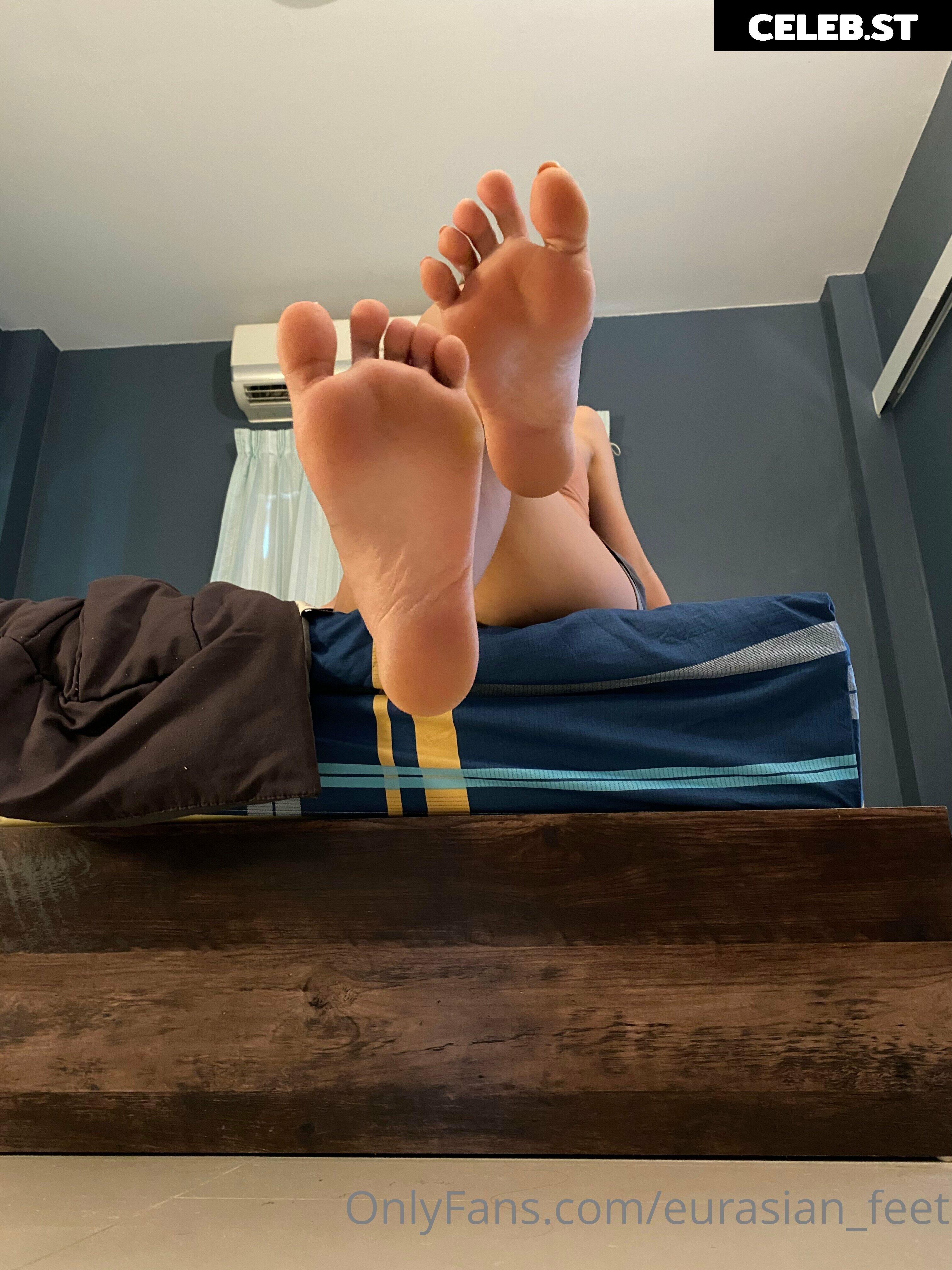 eurasian_feet Image 18071322