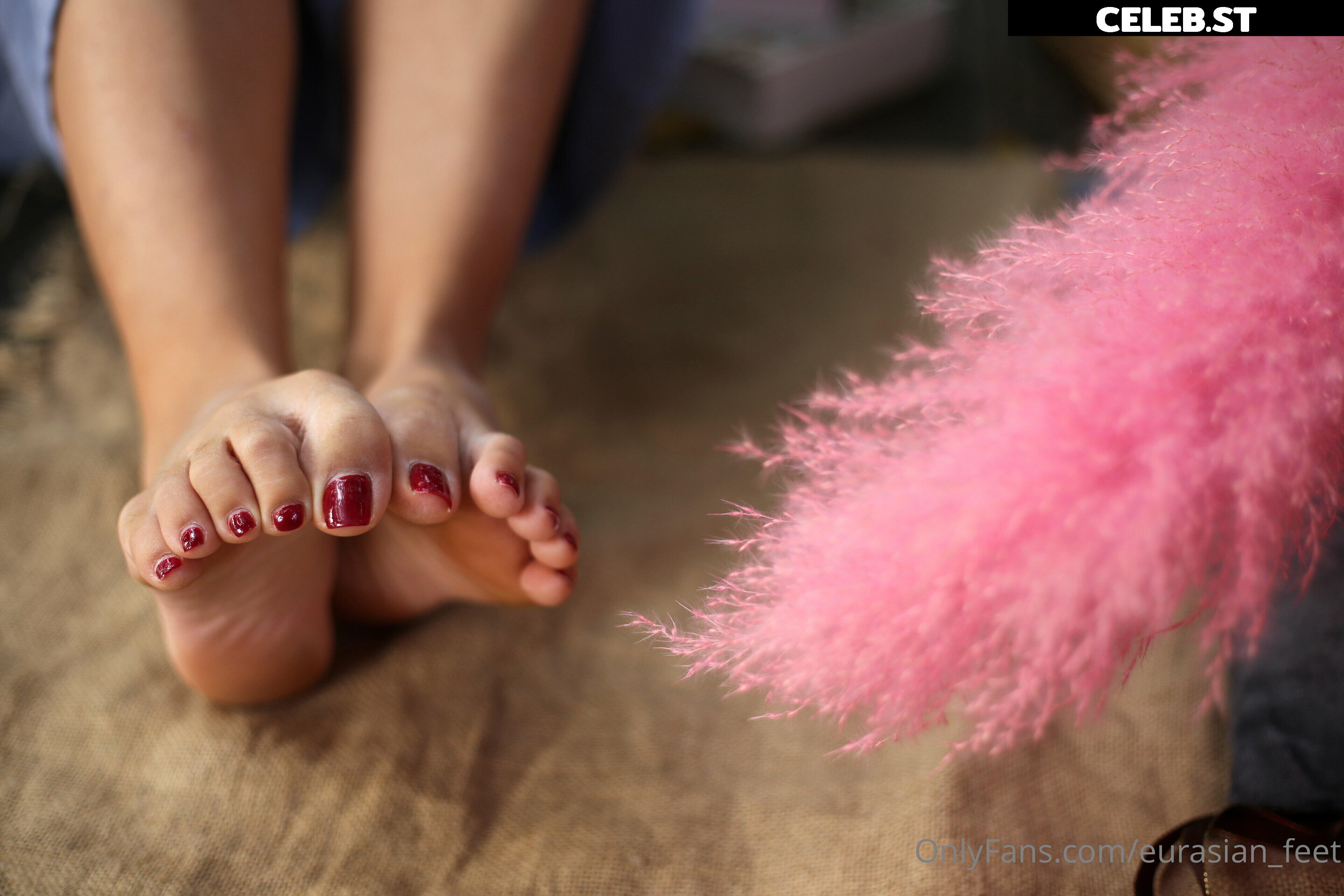 eurasian_feet Image 18071306