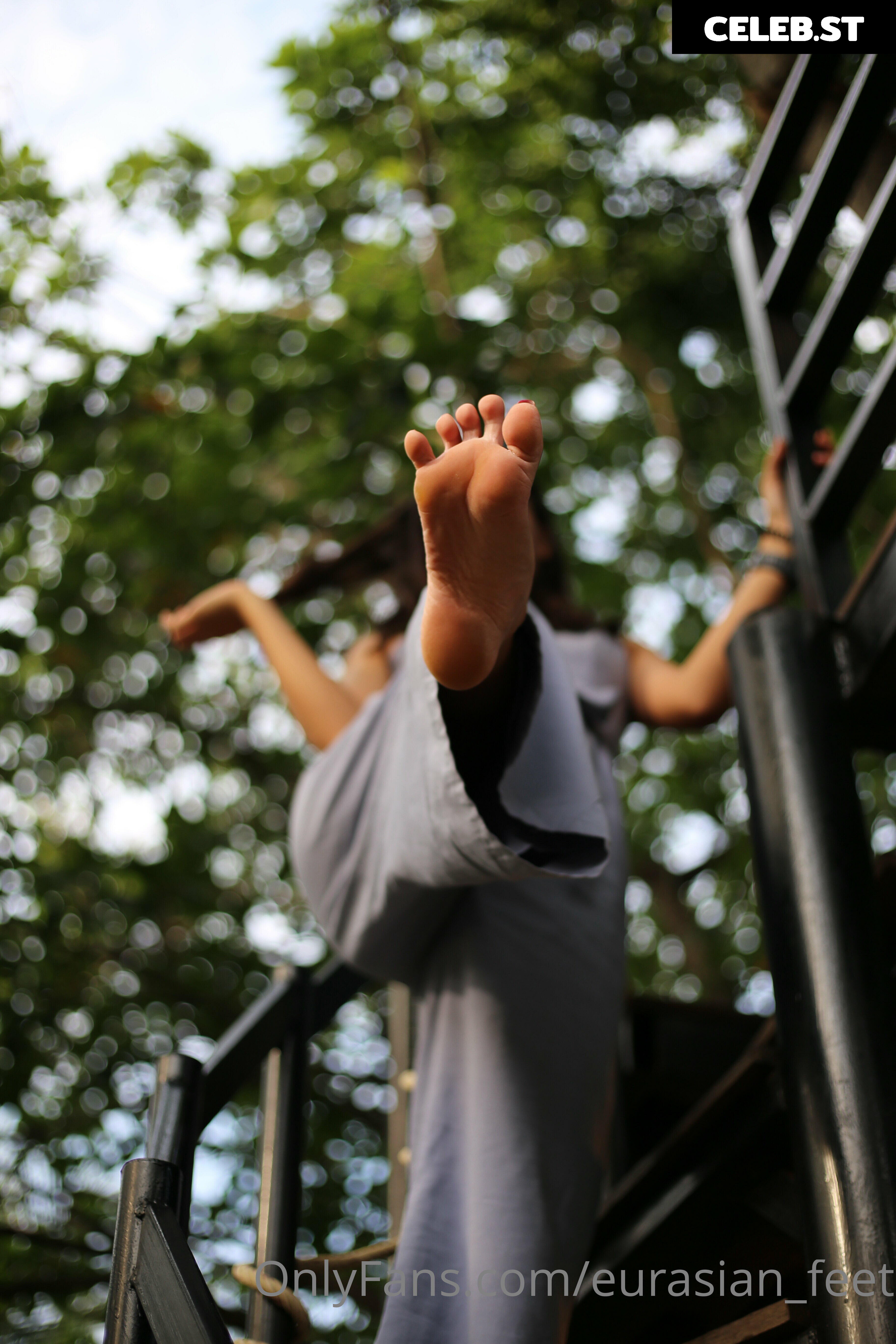 eurasian_feet Image 18071210