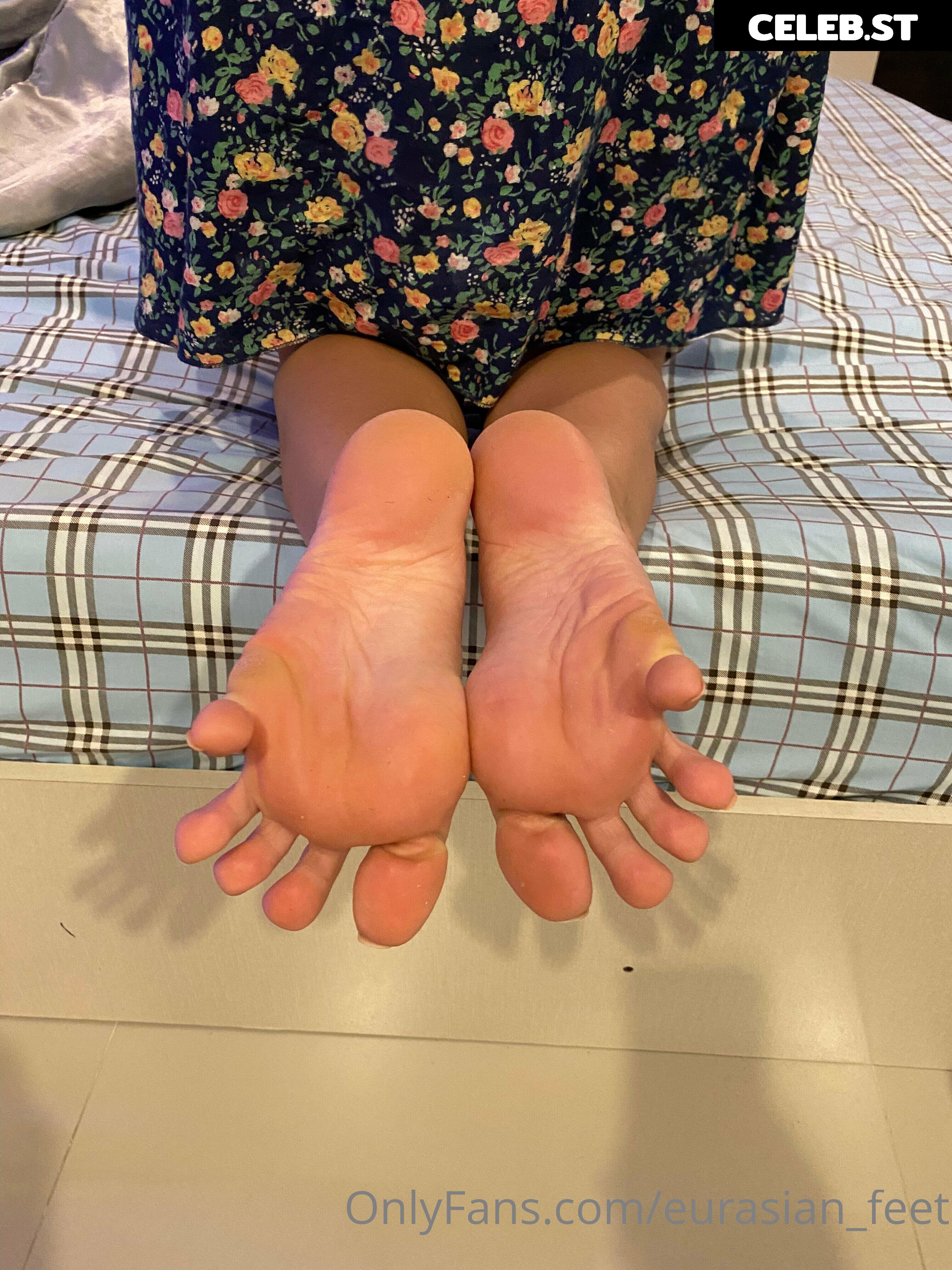 eurasian_feet Image 18071265