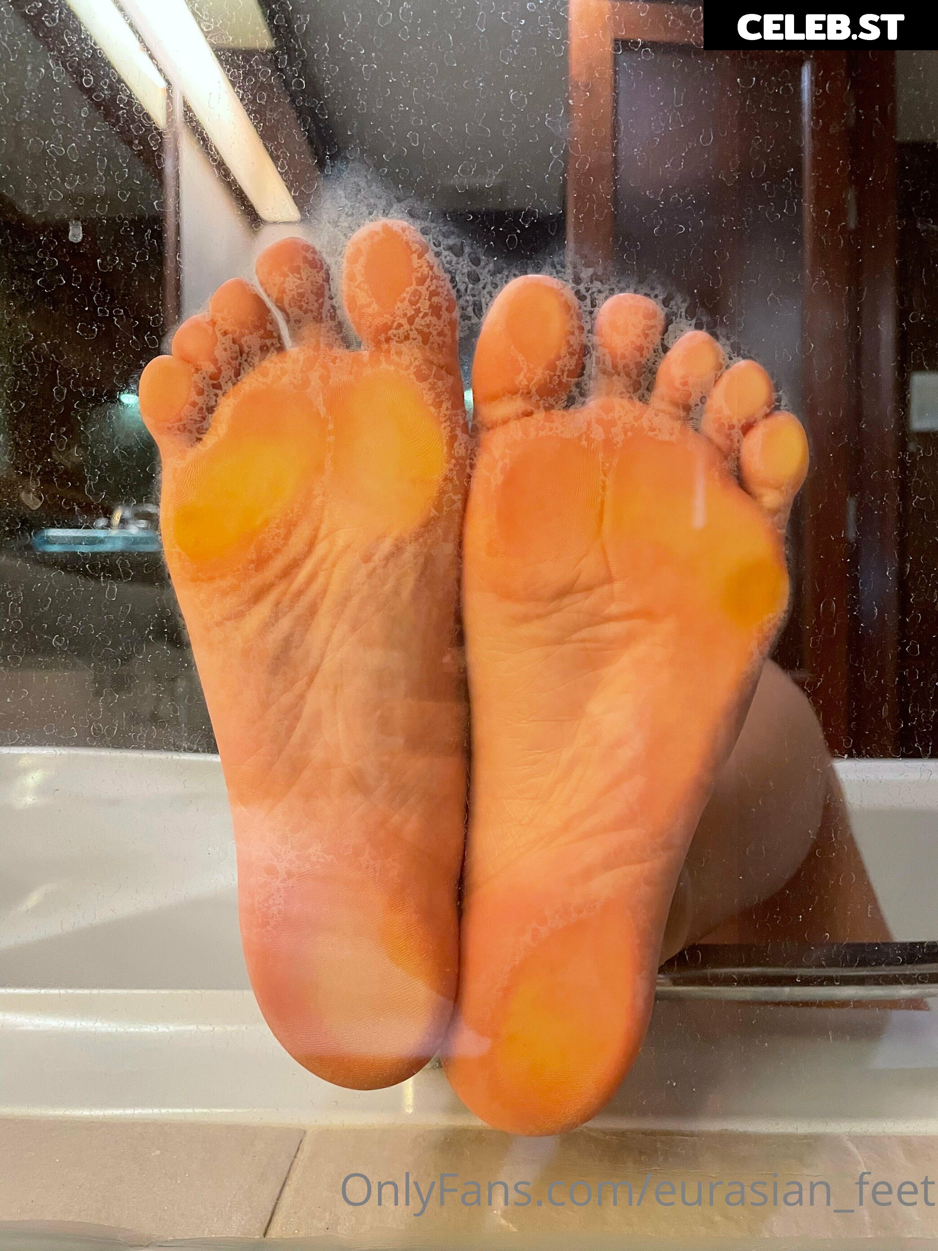 eurasian_feet Image 18070524