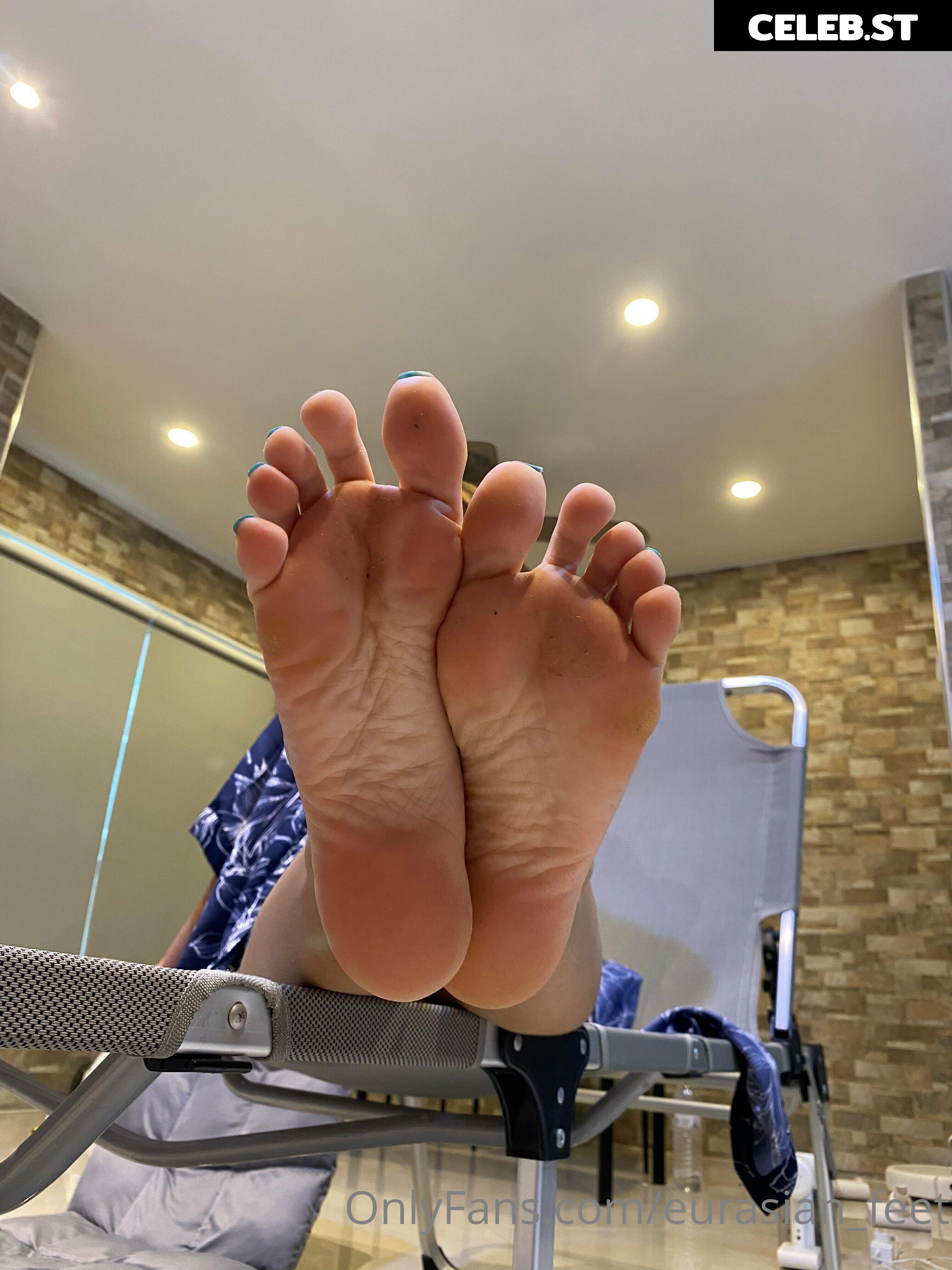 eurasian_feet Image 18070536