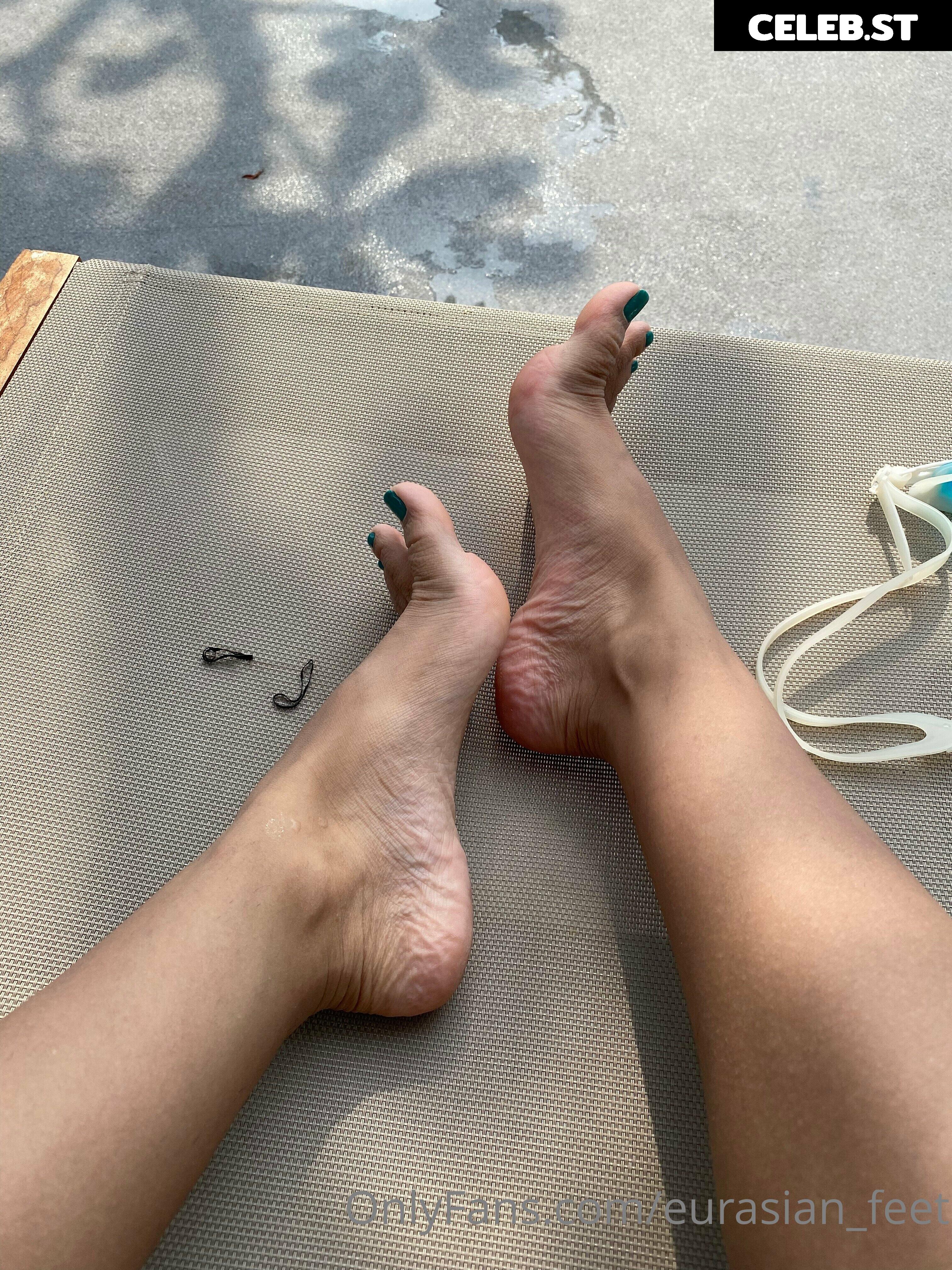 eurasian_feet Image 18070435