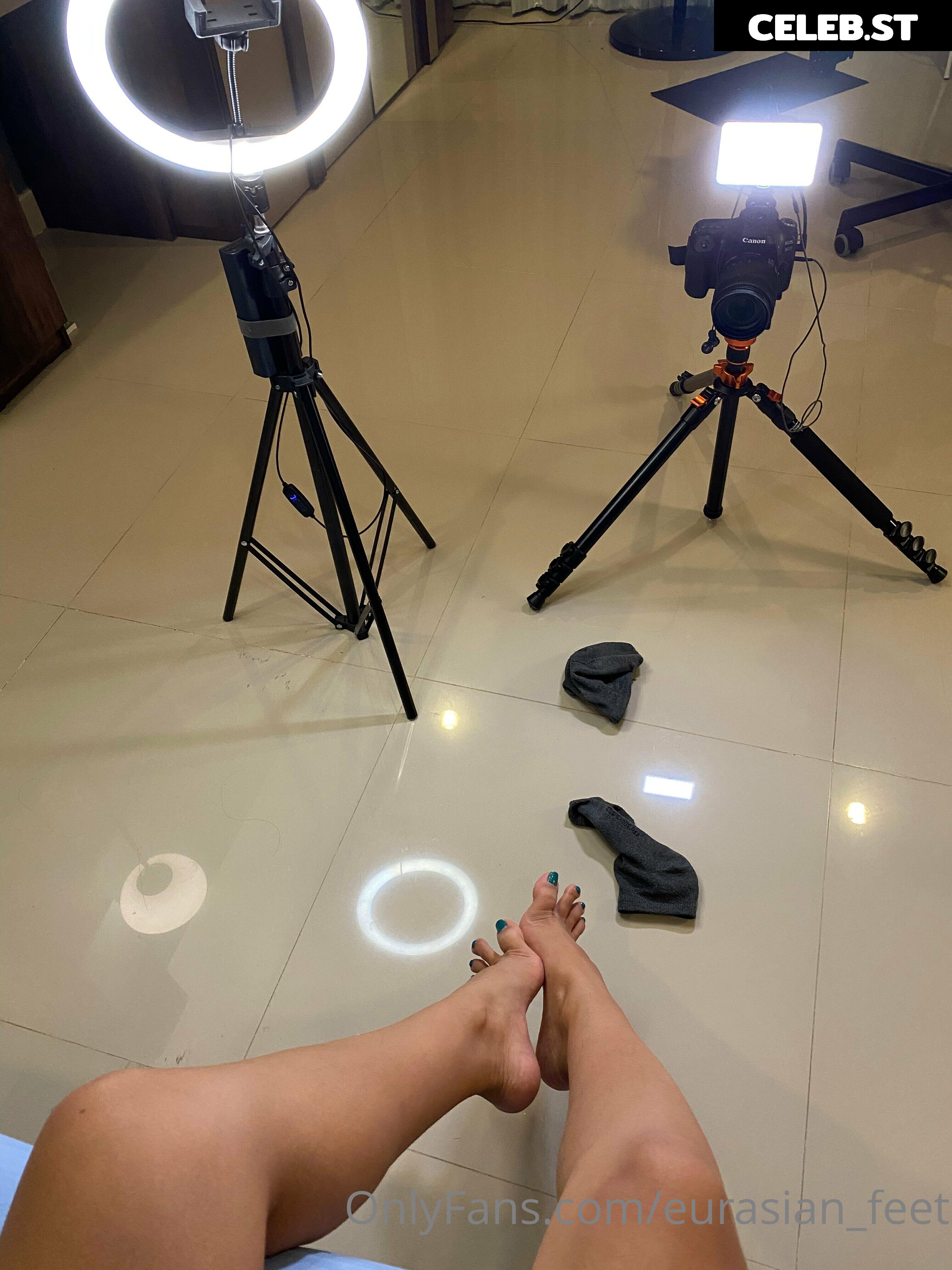 eurasian_feet Image 18070787