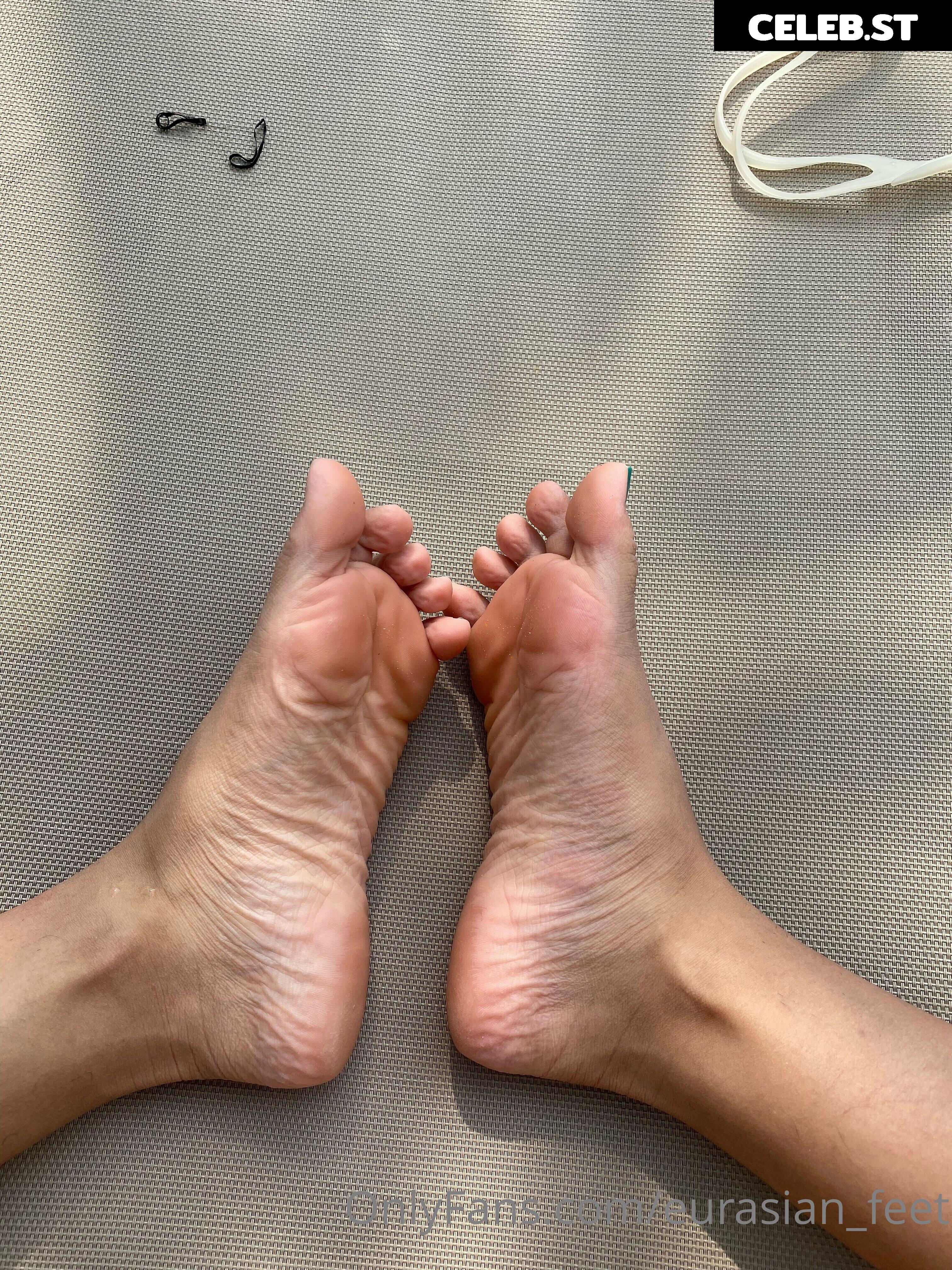 eurasian_feet Image 18070736